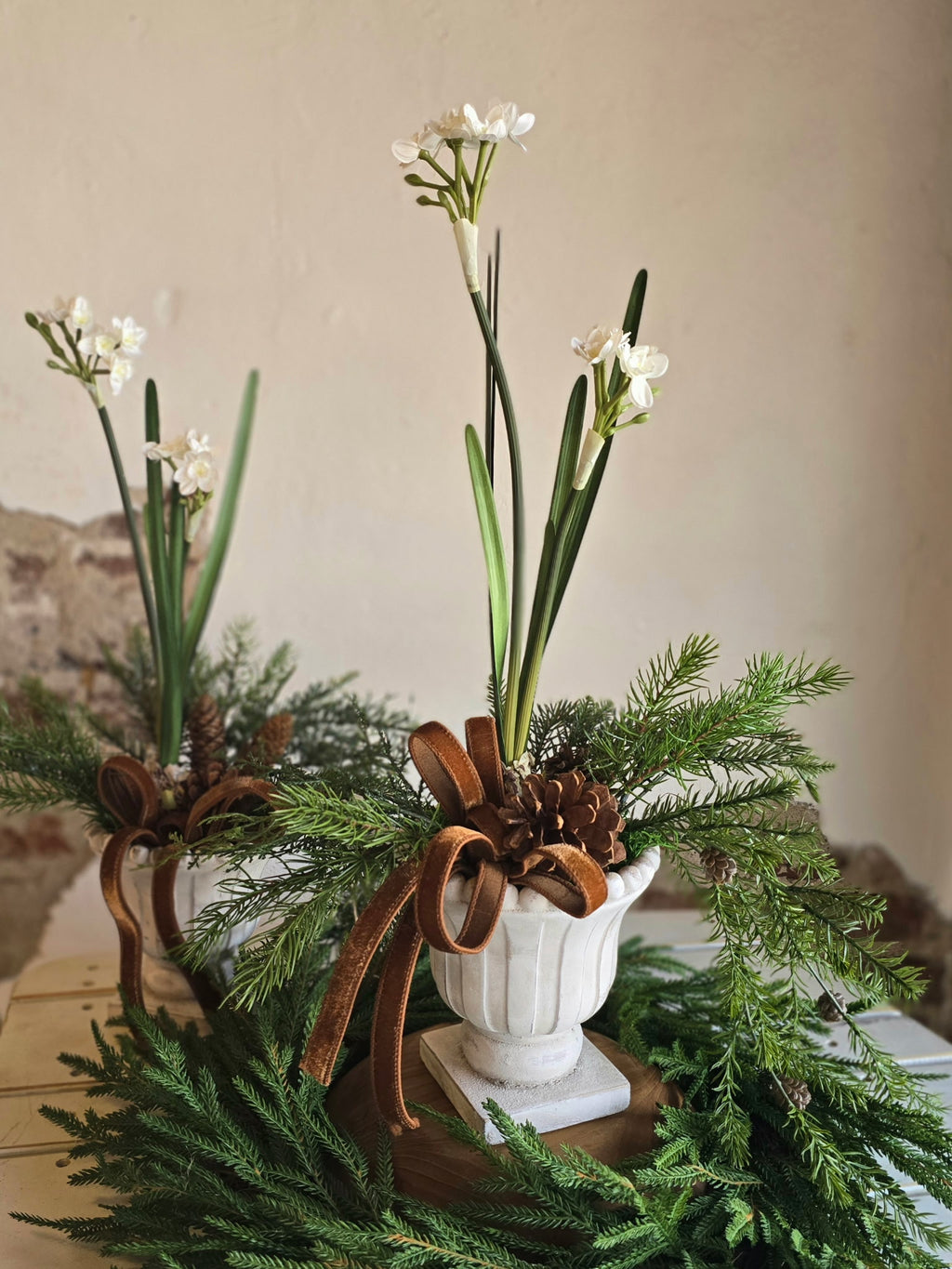 Classic Paperwhite and Pinecone in White Urn