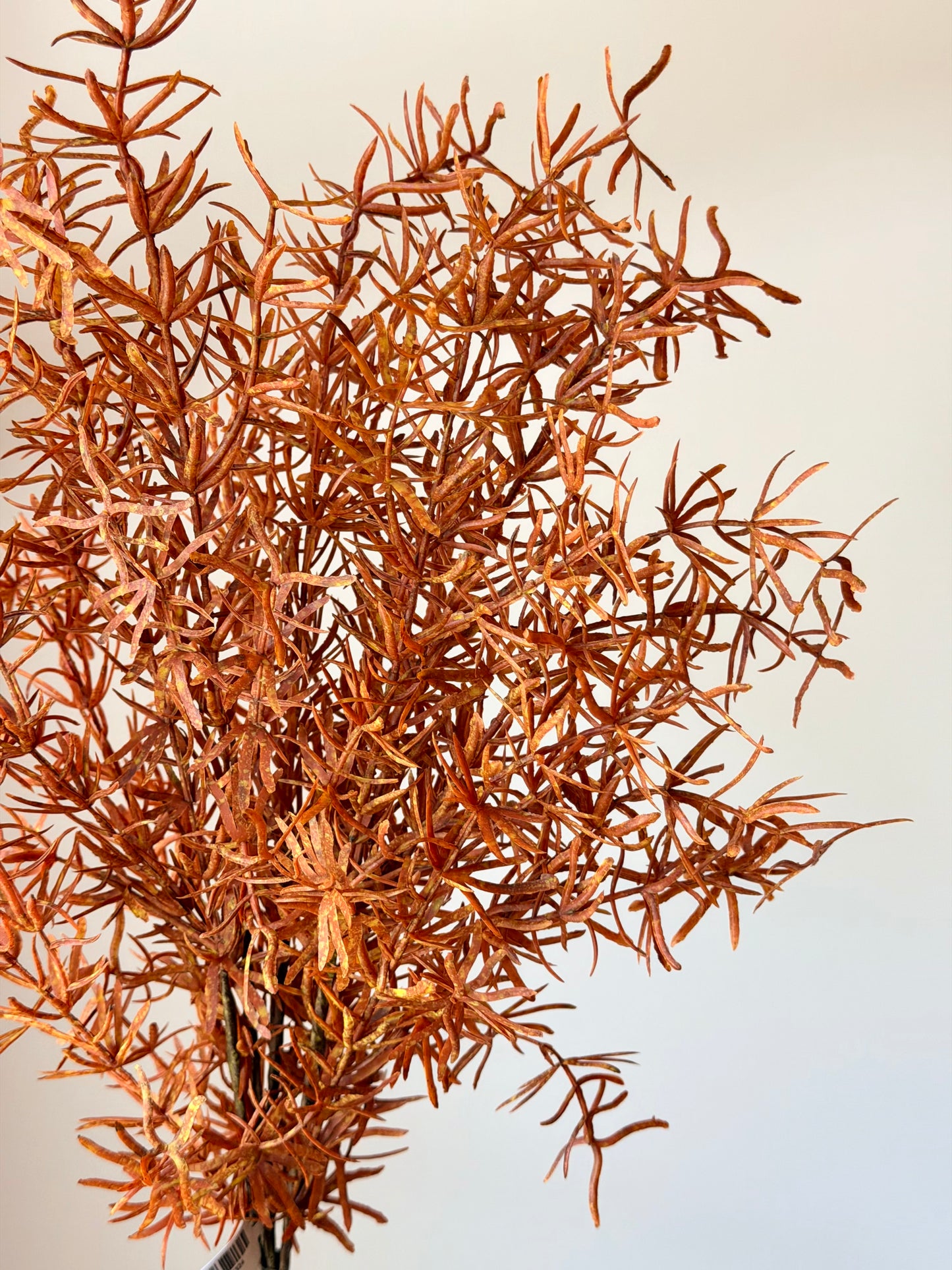 17" UV AUTUMN ASPARAGUS FERN BUSH