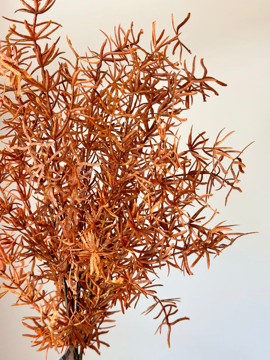 17" UV AUTUMN ASPARAGUS FERN BUSH