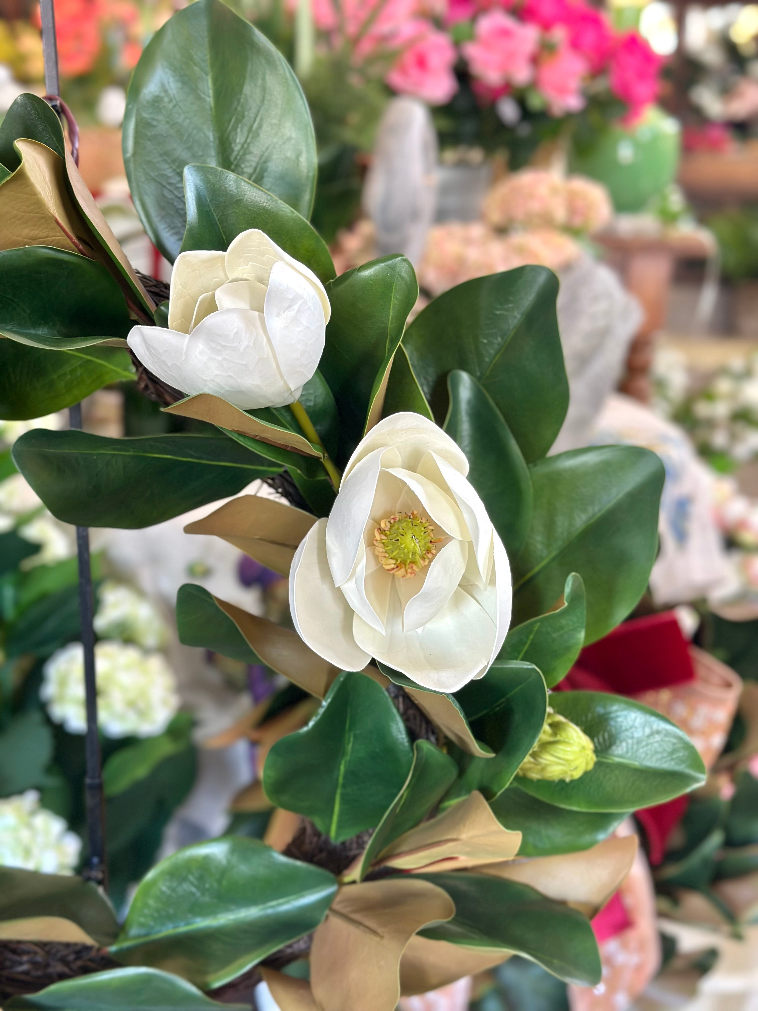 VERANDA MAGNOLIA WREATH