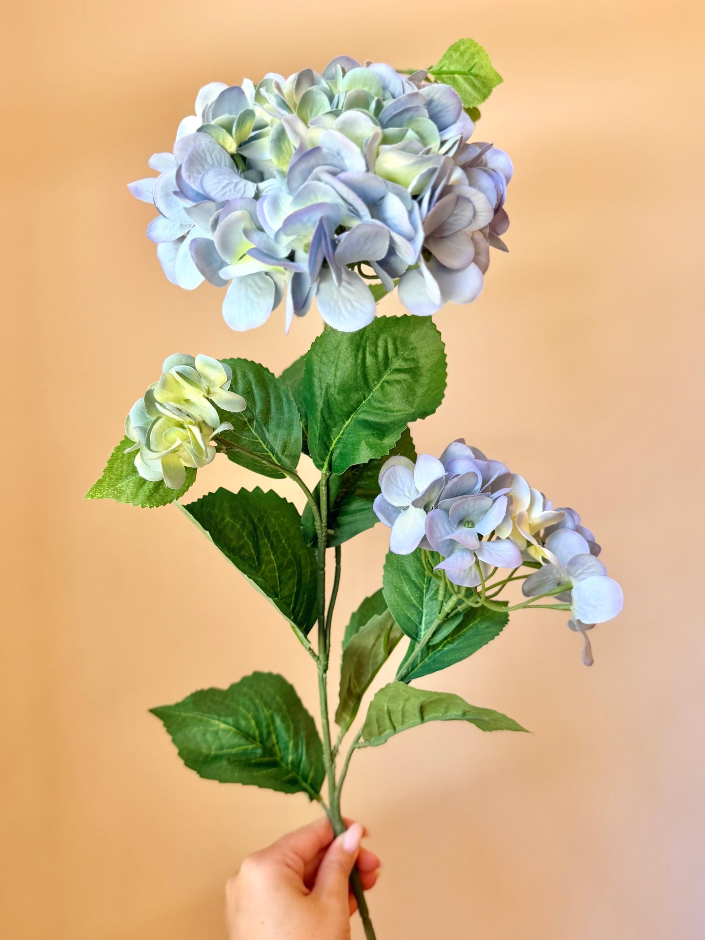 38.5” Blue Cone Hydrangea Stem