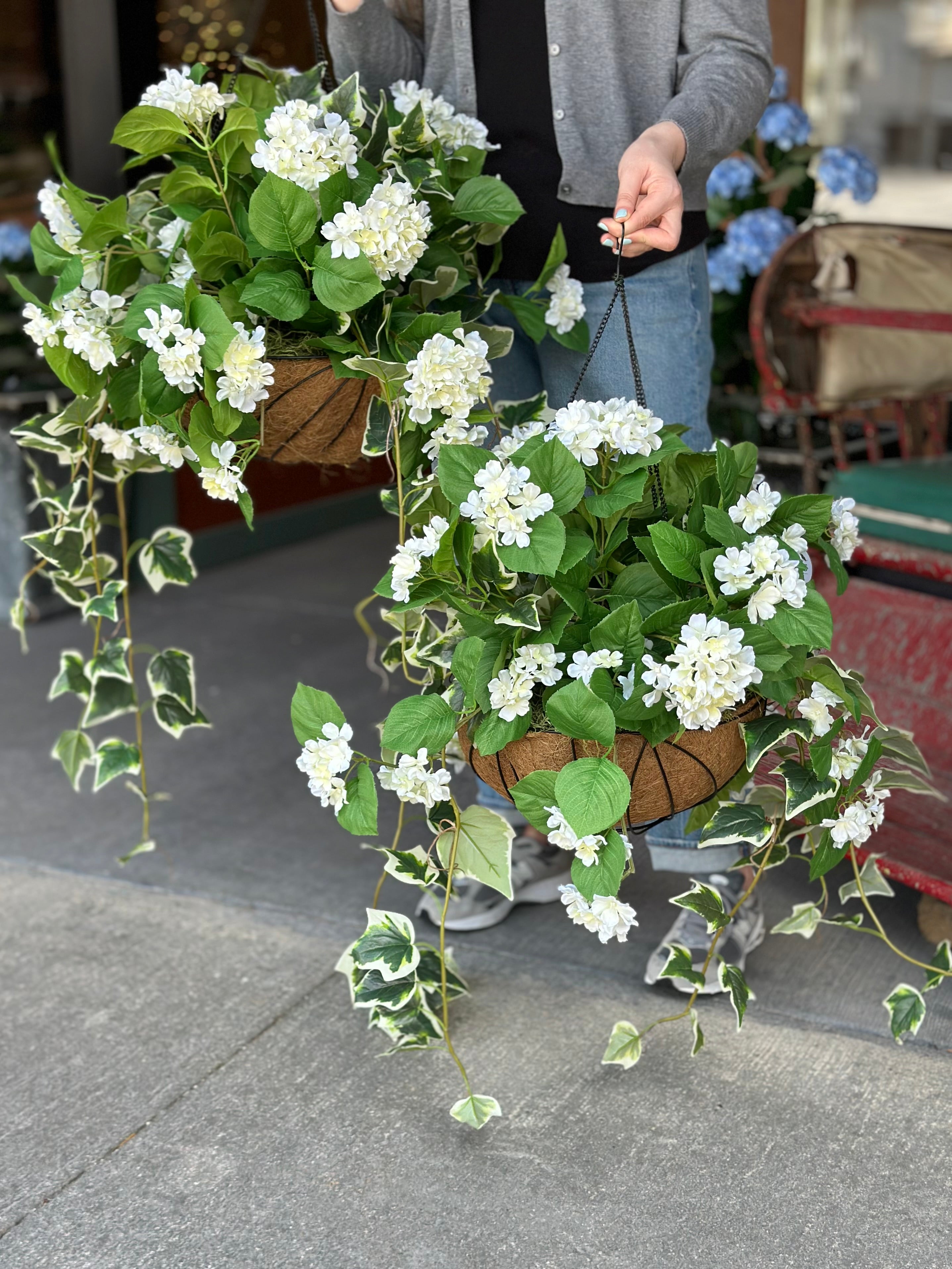 Ivy & White Hydrangea Hanging Basket
