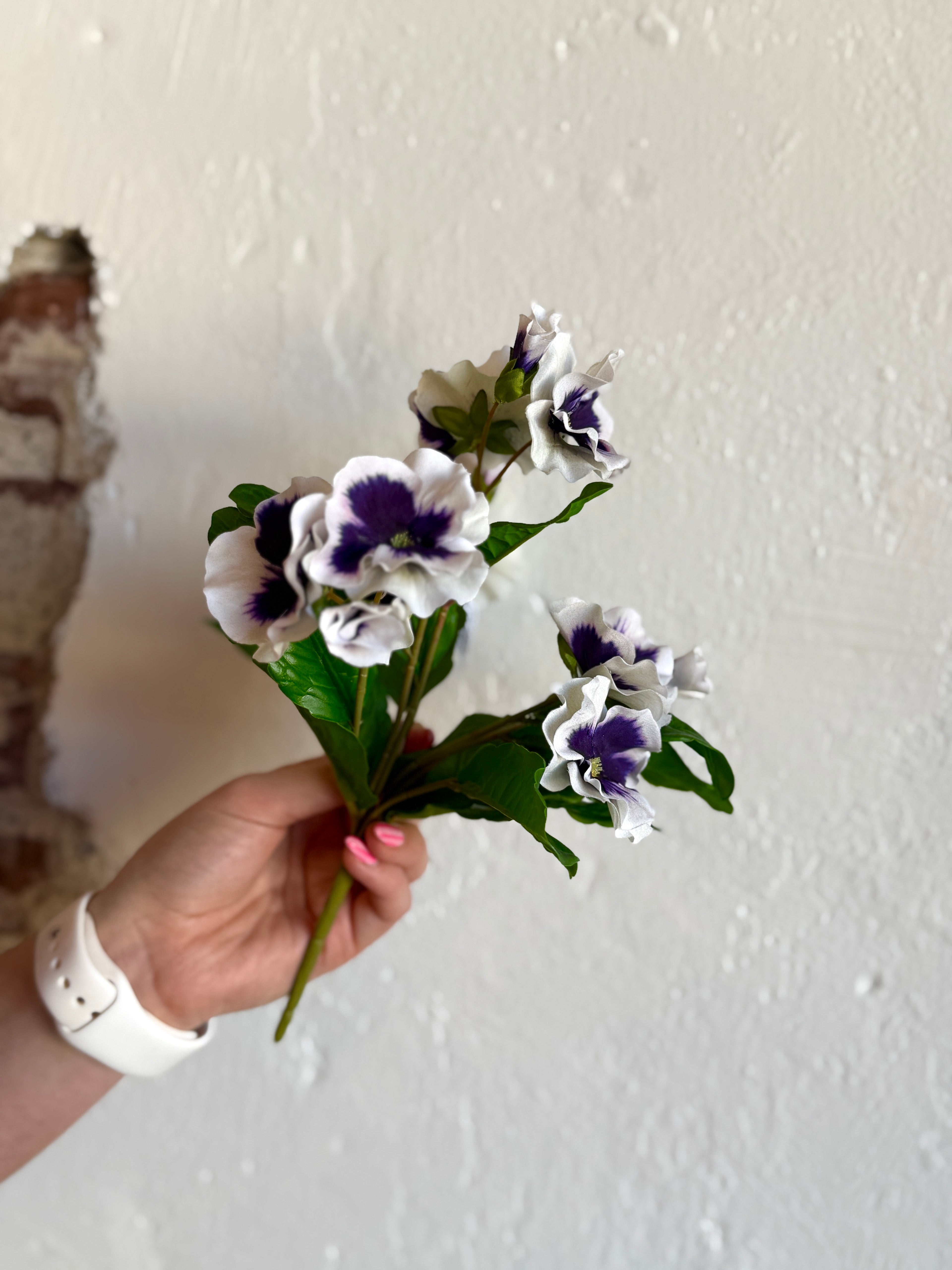 UV PANSY PLANT X7 10.5"