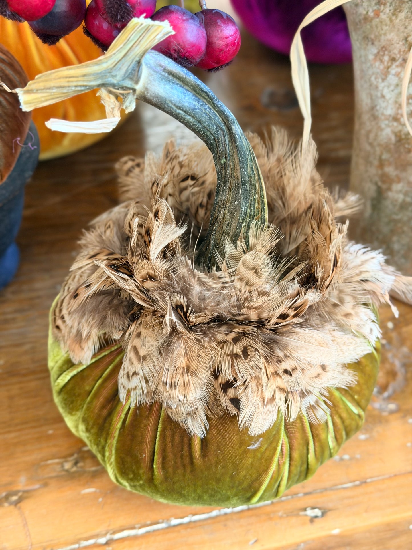 6" Cactus Velvet Pumpkin with Natural Ringneck Pheasant Collar