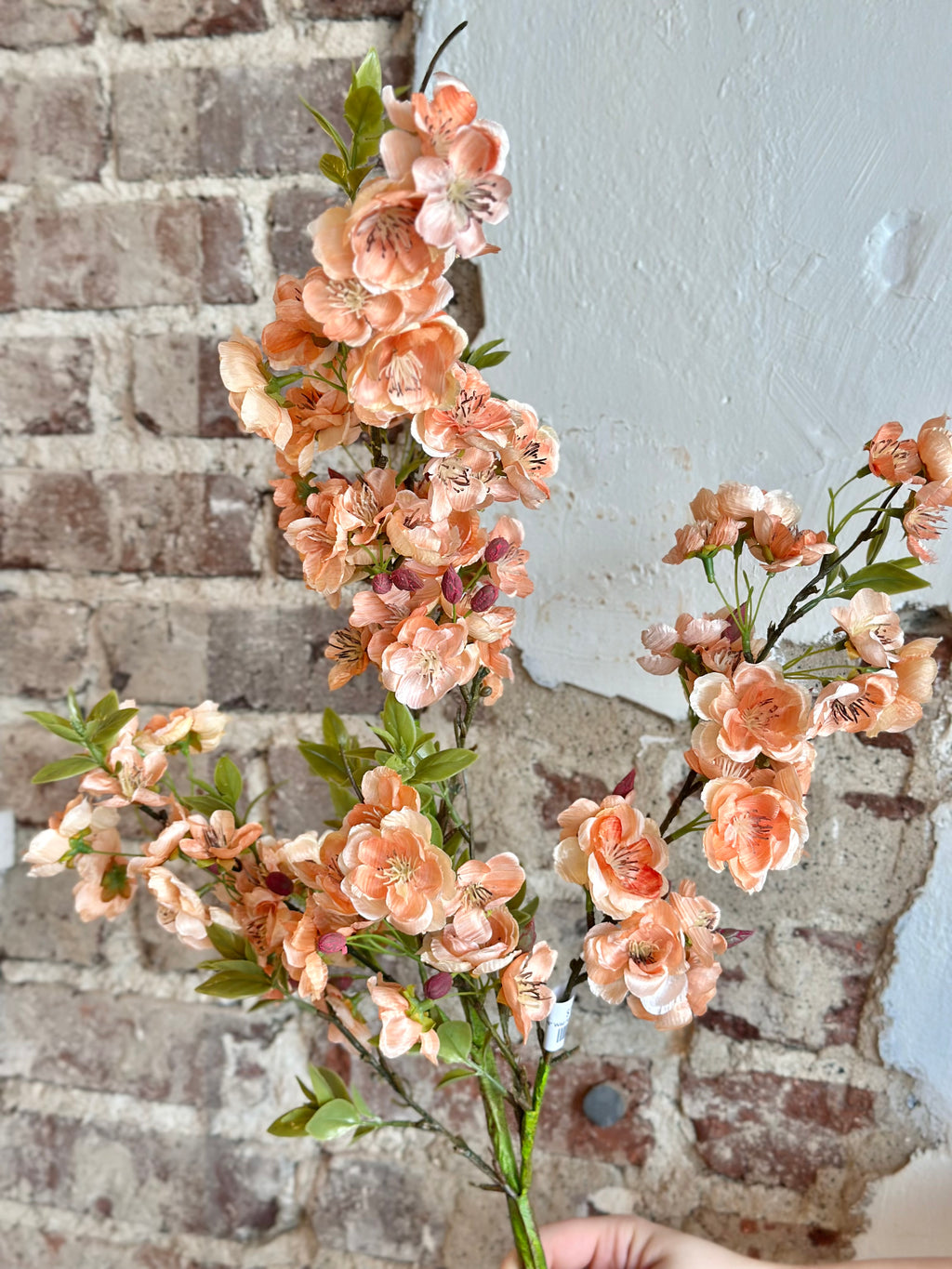 38” Wild Apple Blossom Spray