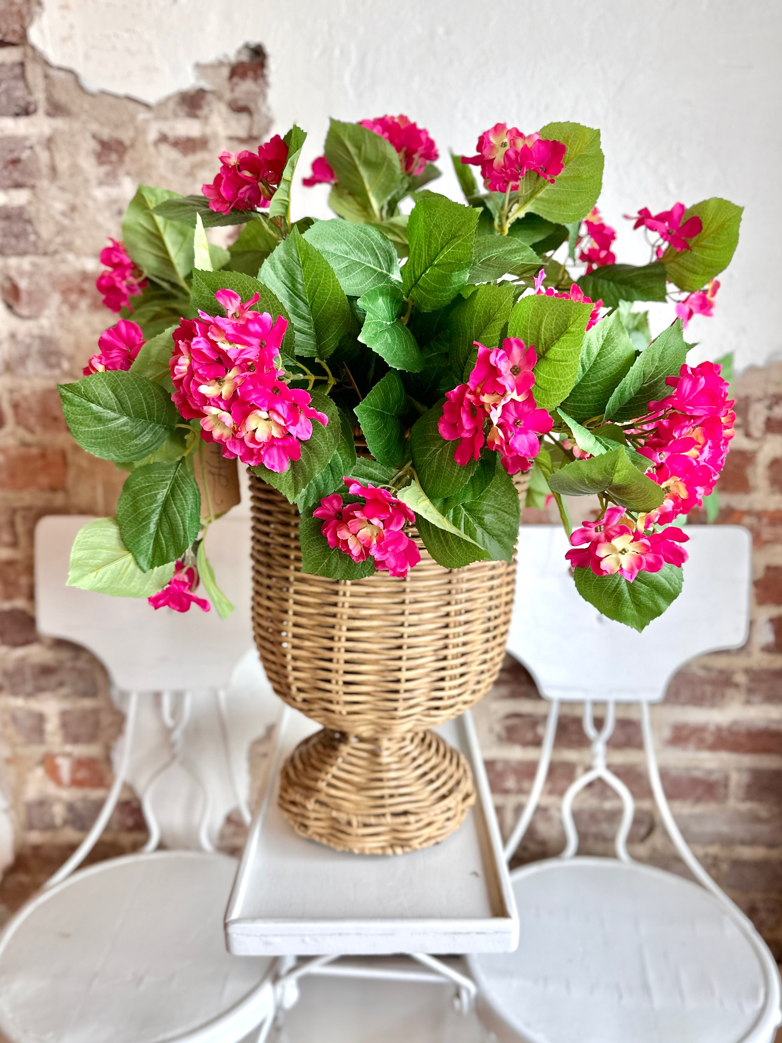 UV Pink Potted Hydrangea