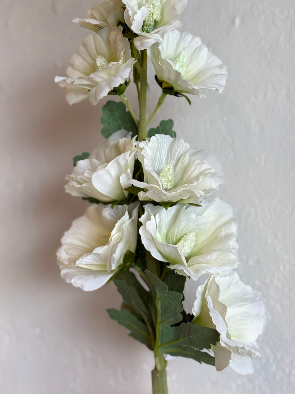 43" White Hollyhock Stem