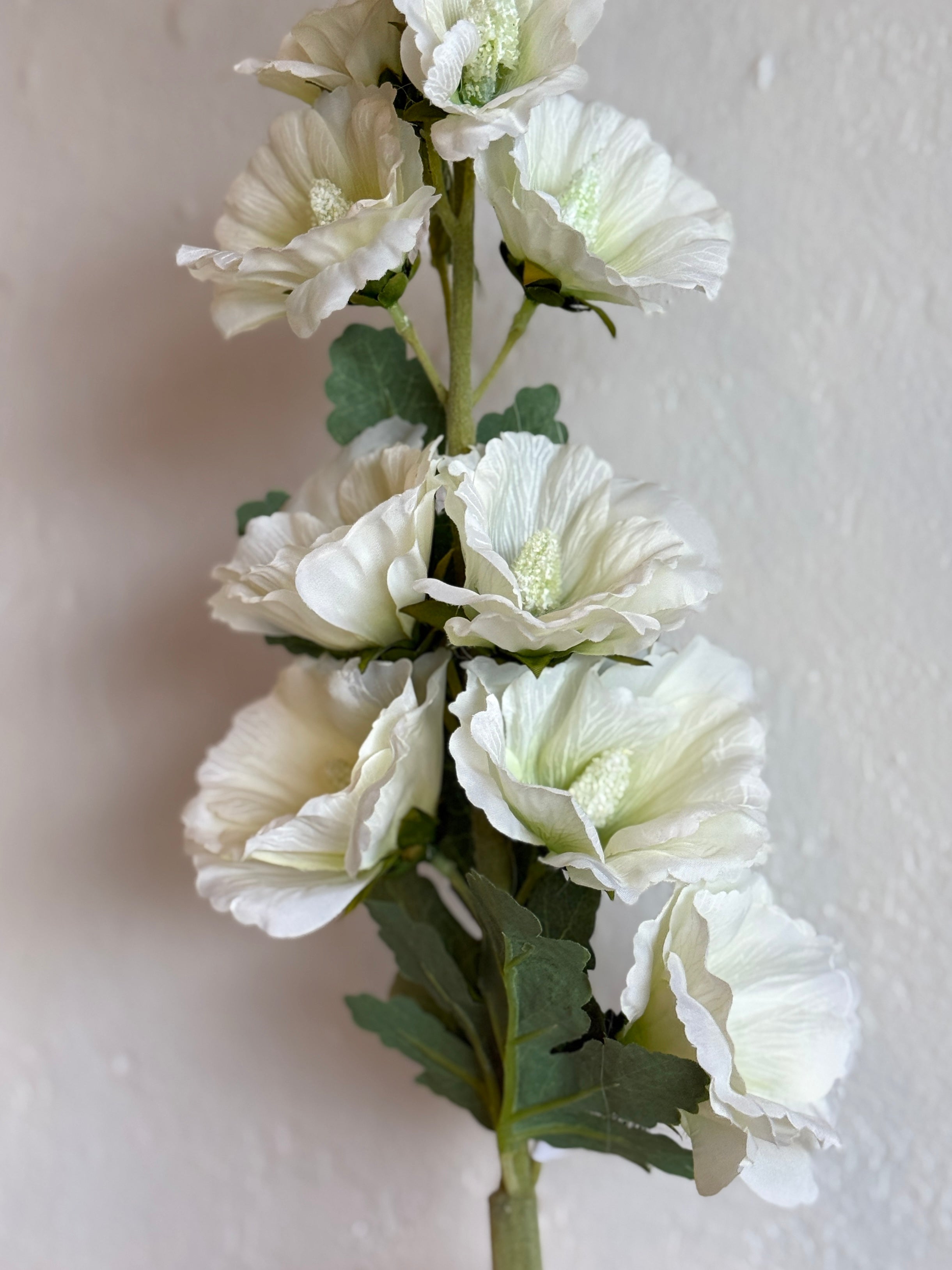 43" White Hollyhock Stem