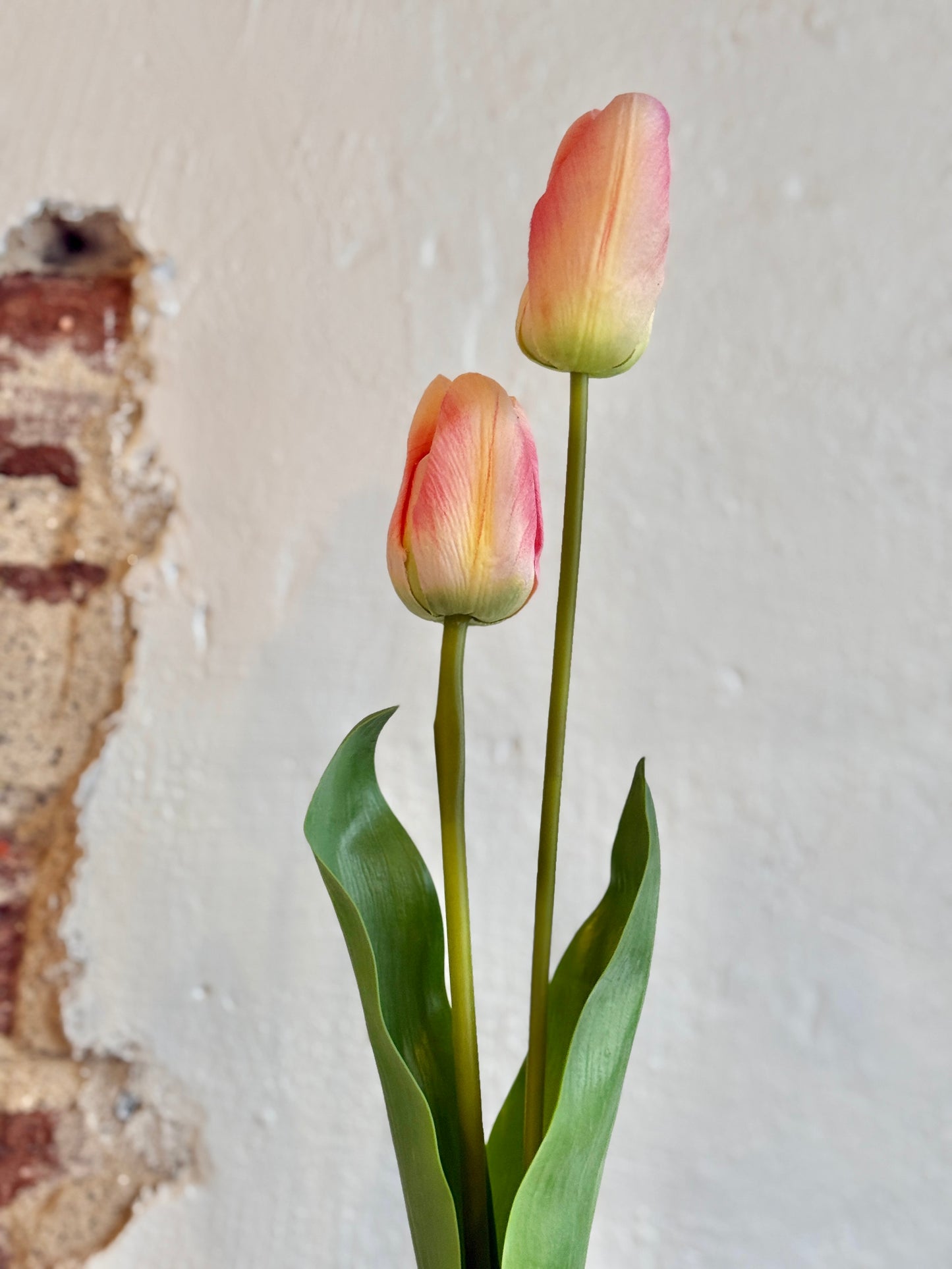 23” NATURAL-TOUCH DARWIN TULIP- PINK