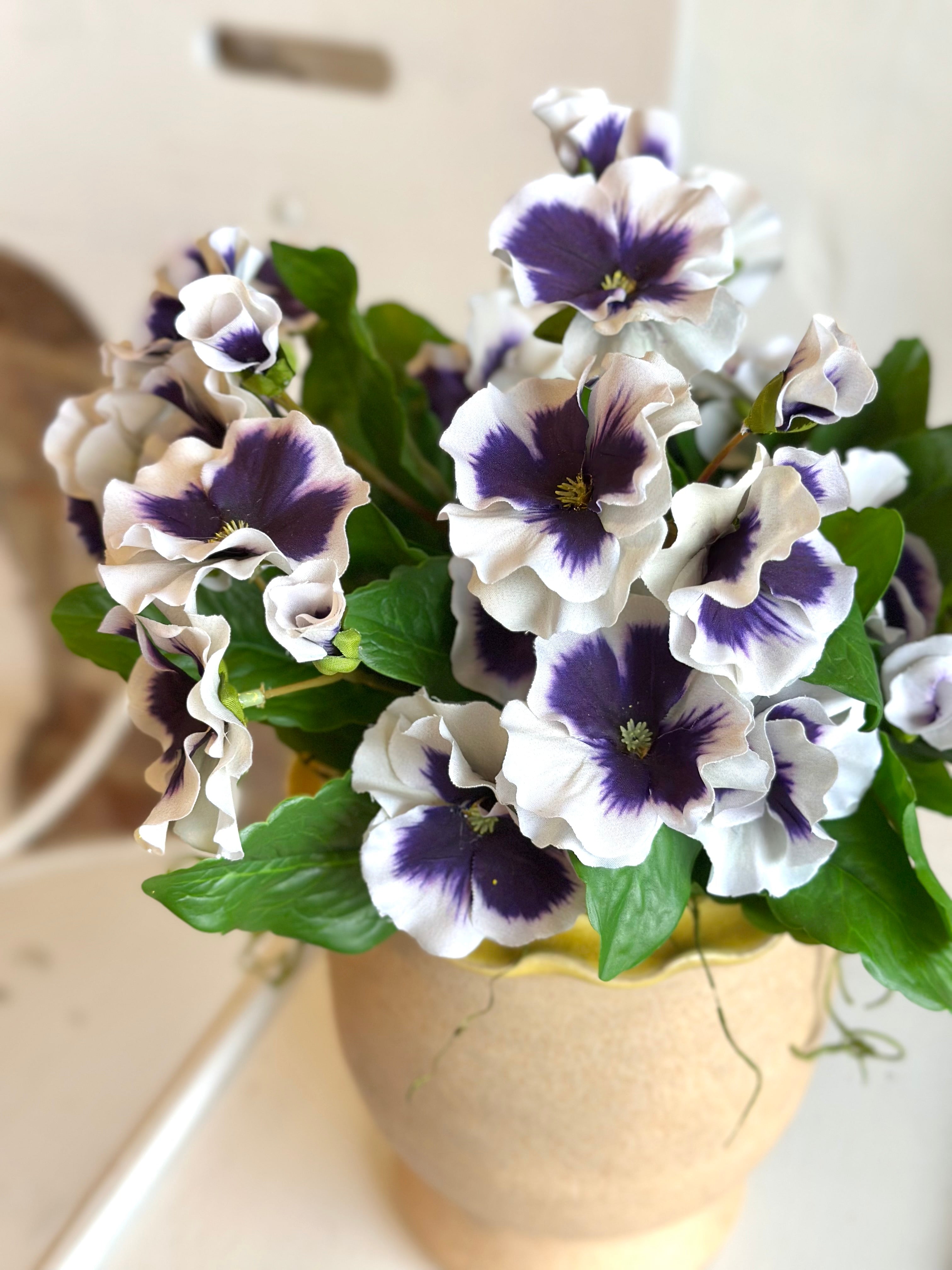 Purple Potted Pansies- Ruffled Pot