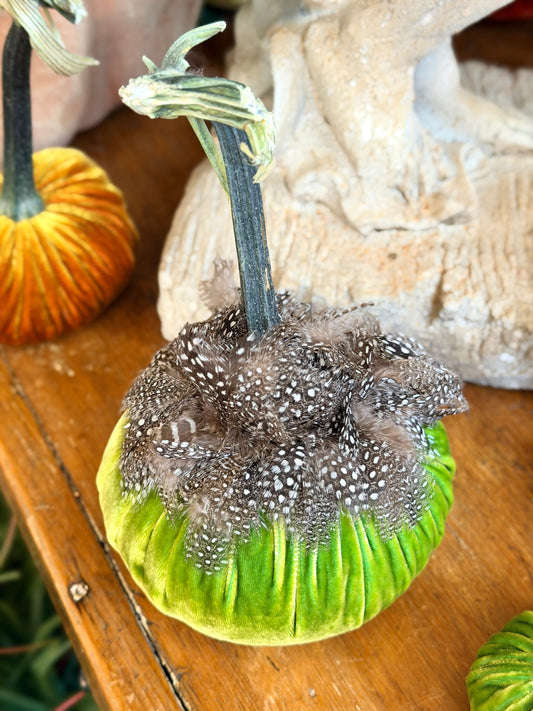 5" Chartreuse Velvet Pumpkin with Guinea Feather Collar