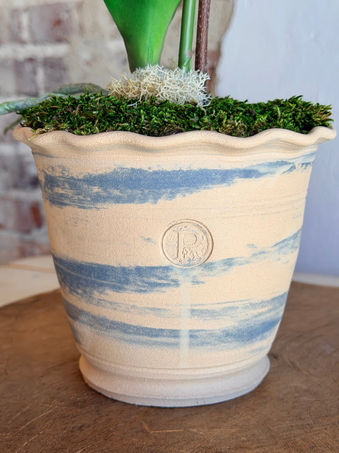 Russet Potted Orchid