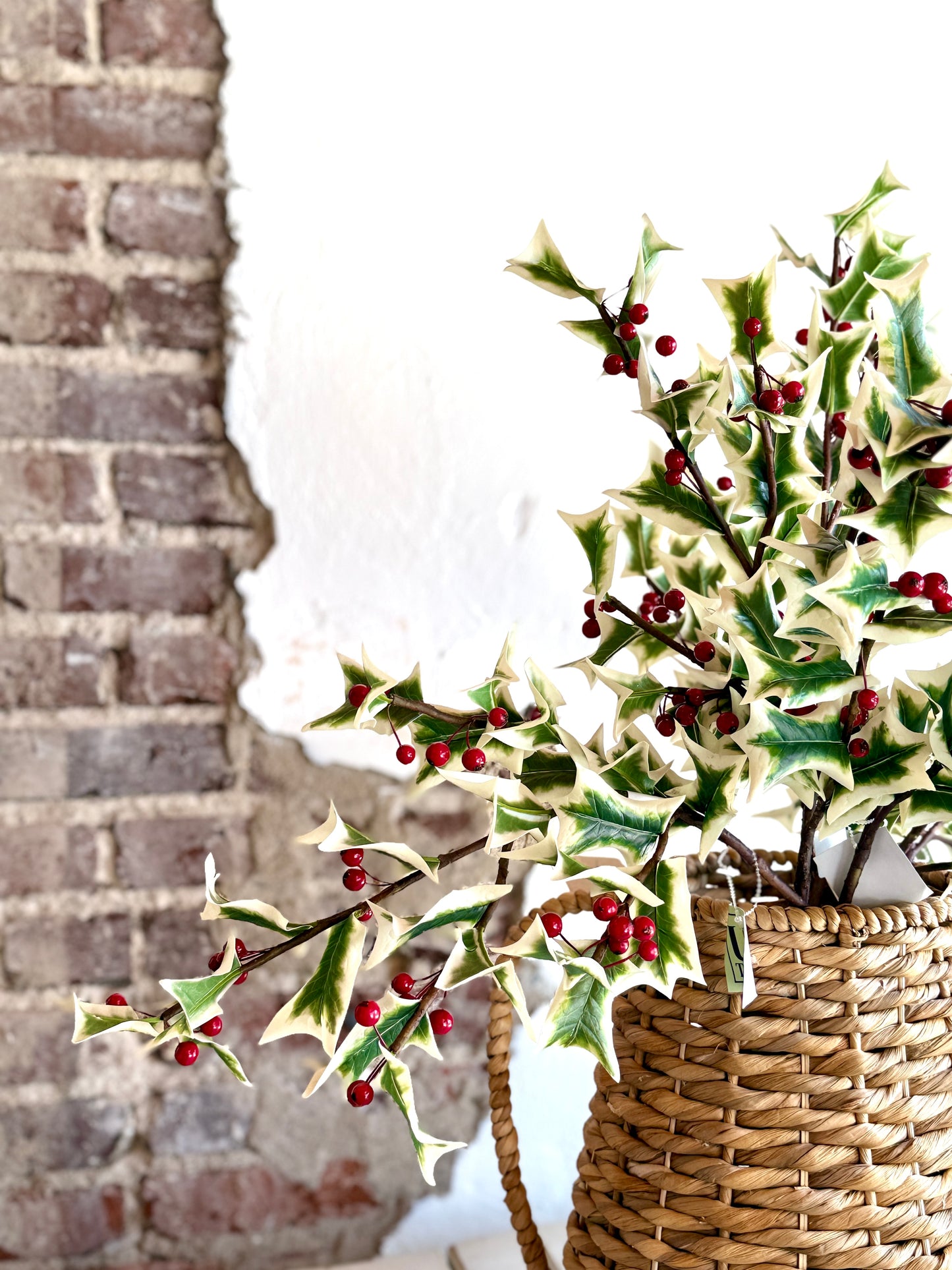 30" FRESH CUT HOLLY SPRAY- UV