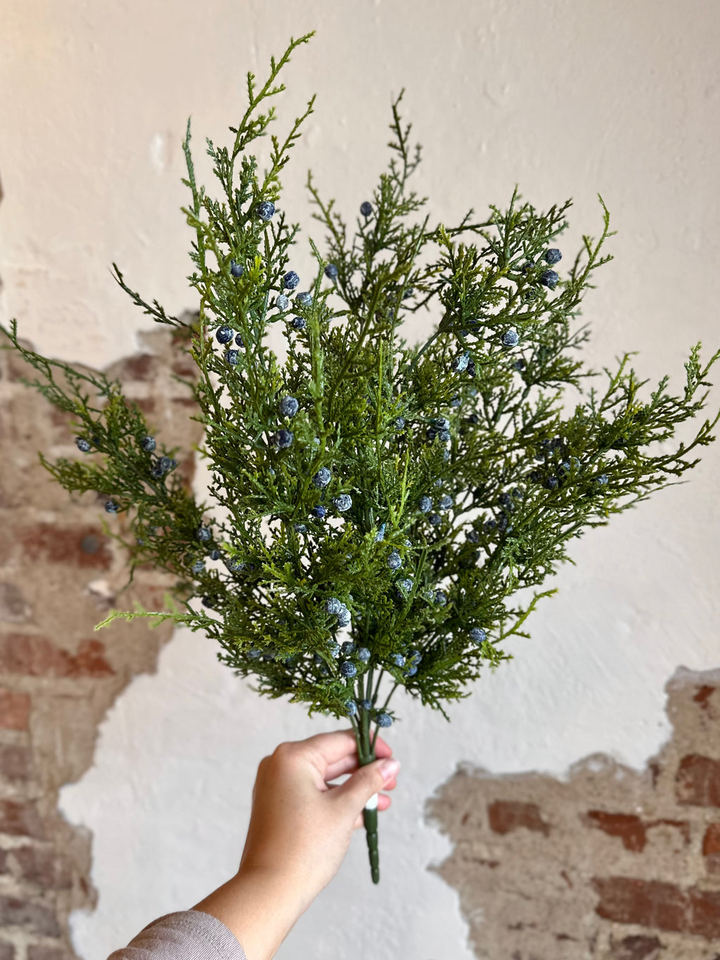21.5" JUNIPER BERRY- BLUE