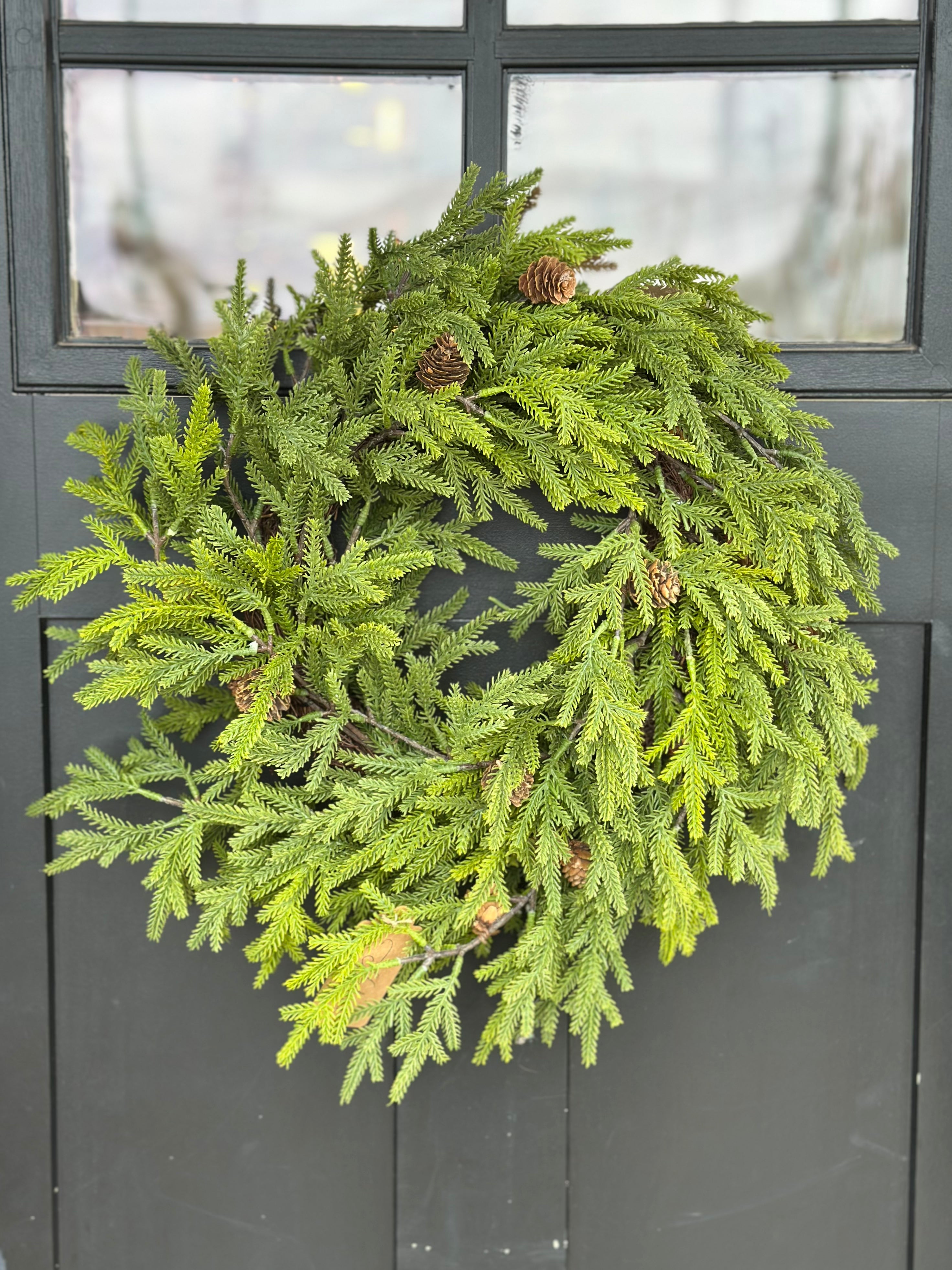24" COLORADO SPRUCE WREATH