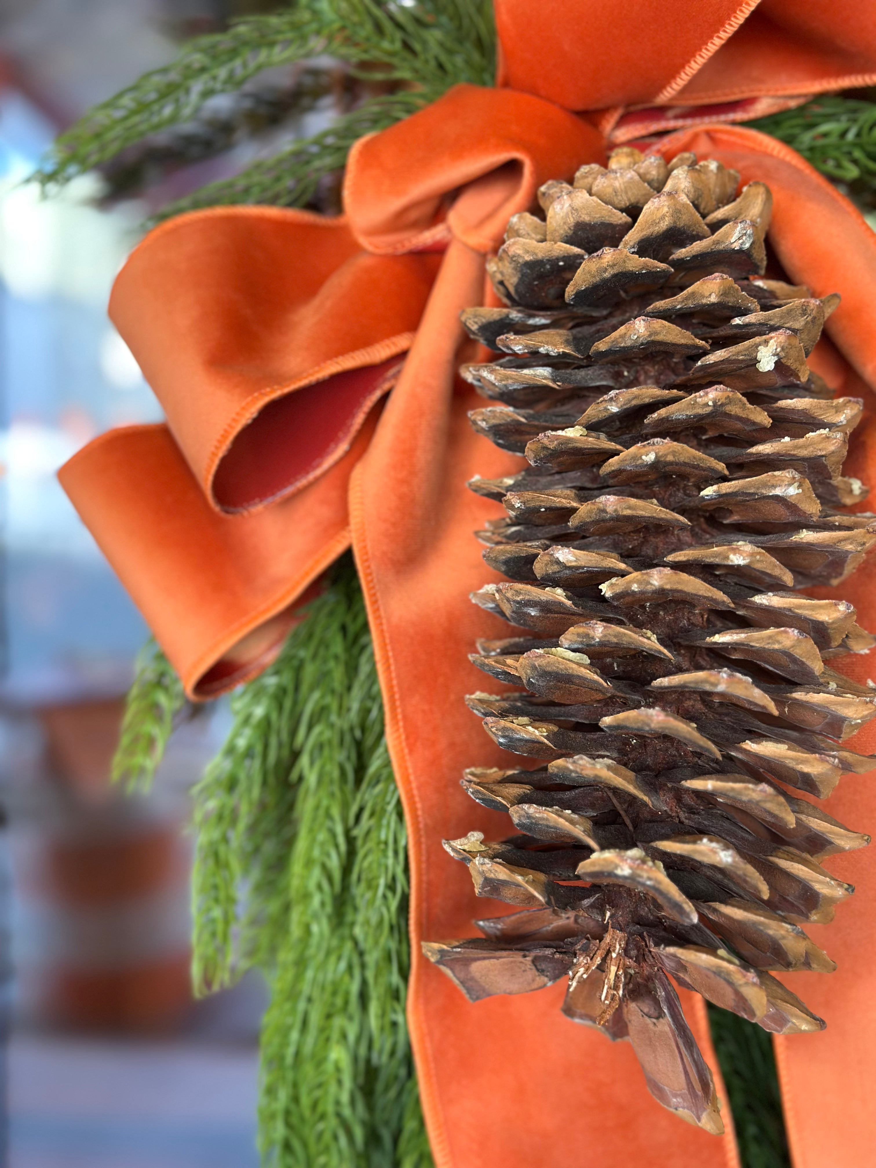 Forest Norfolk Pine with Floppy Velvet Bow (COLOR OPTIONS)