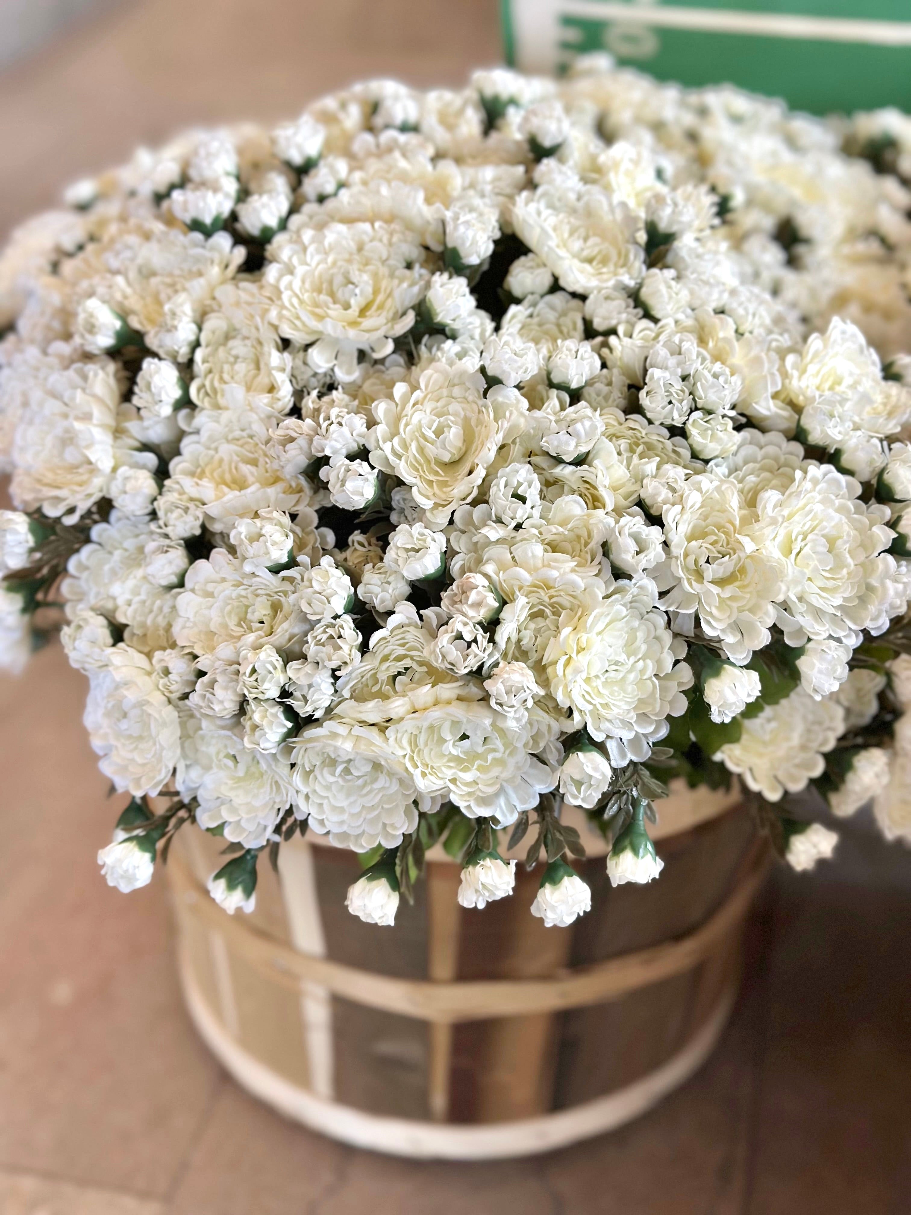 15" Mini Mum Bush
