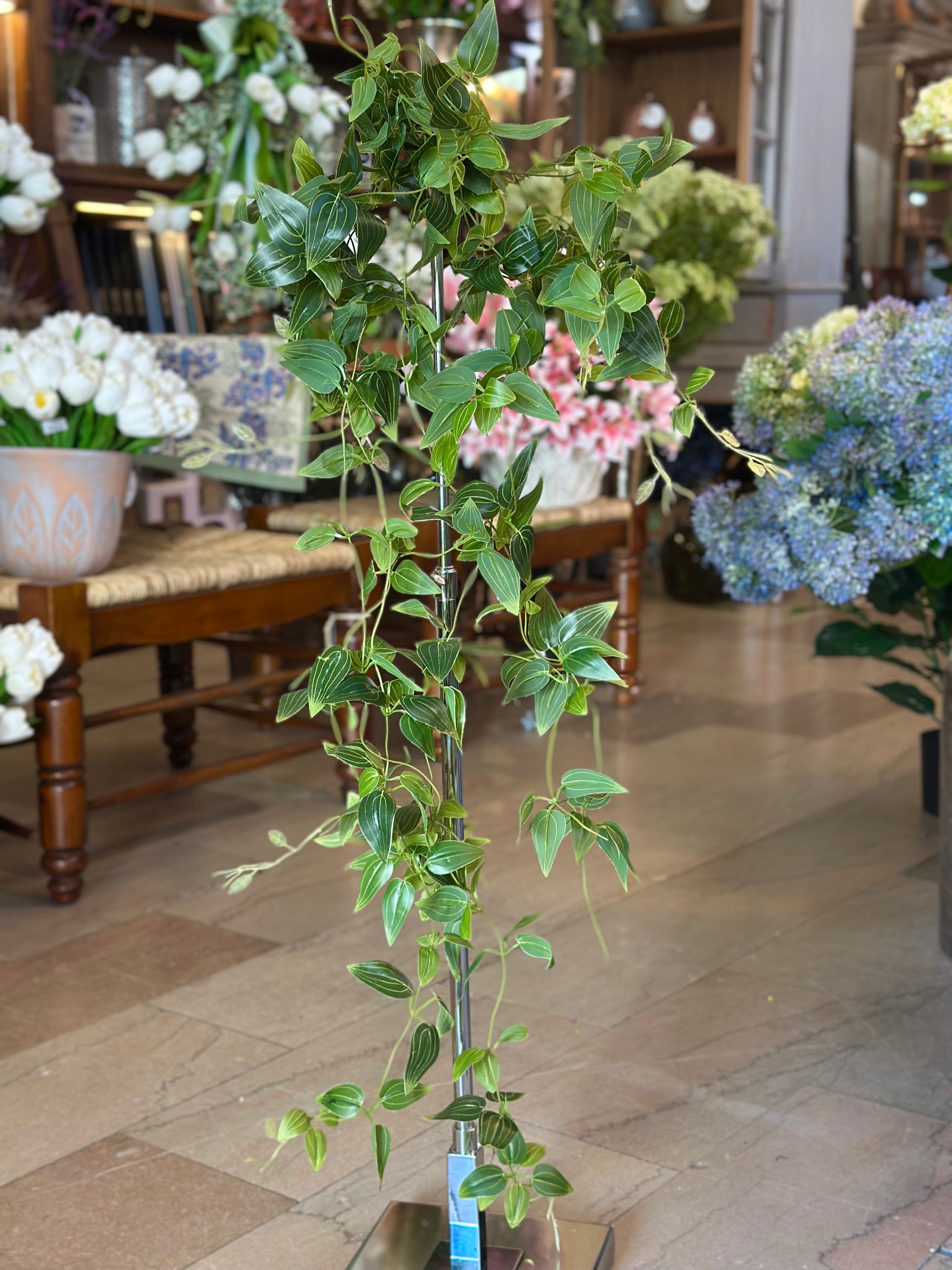 tradescantia hanging plant 41" Hanging Tradescantia Plant – Hoskins In The Flat Clinton