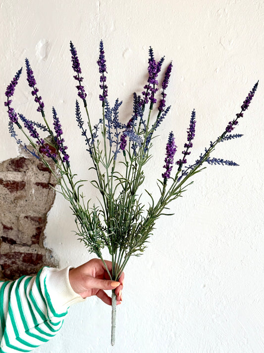 22" English Lavender Bush