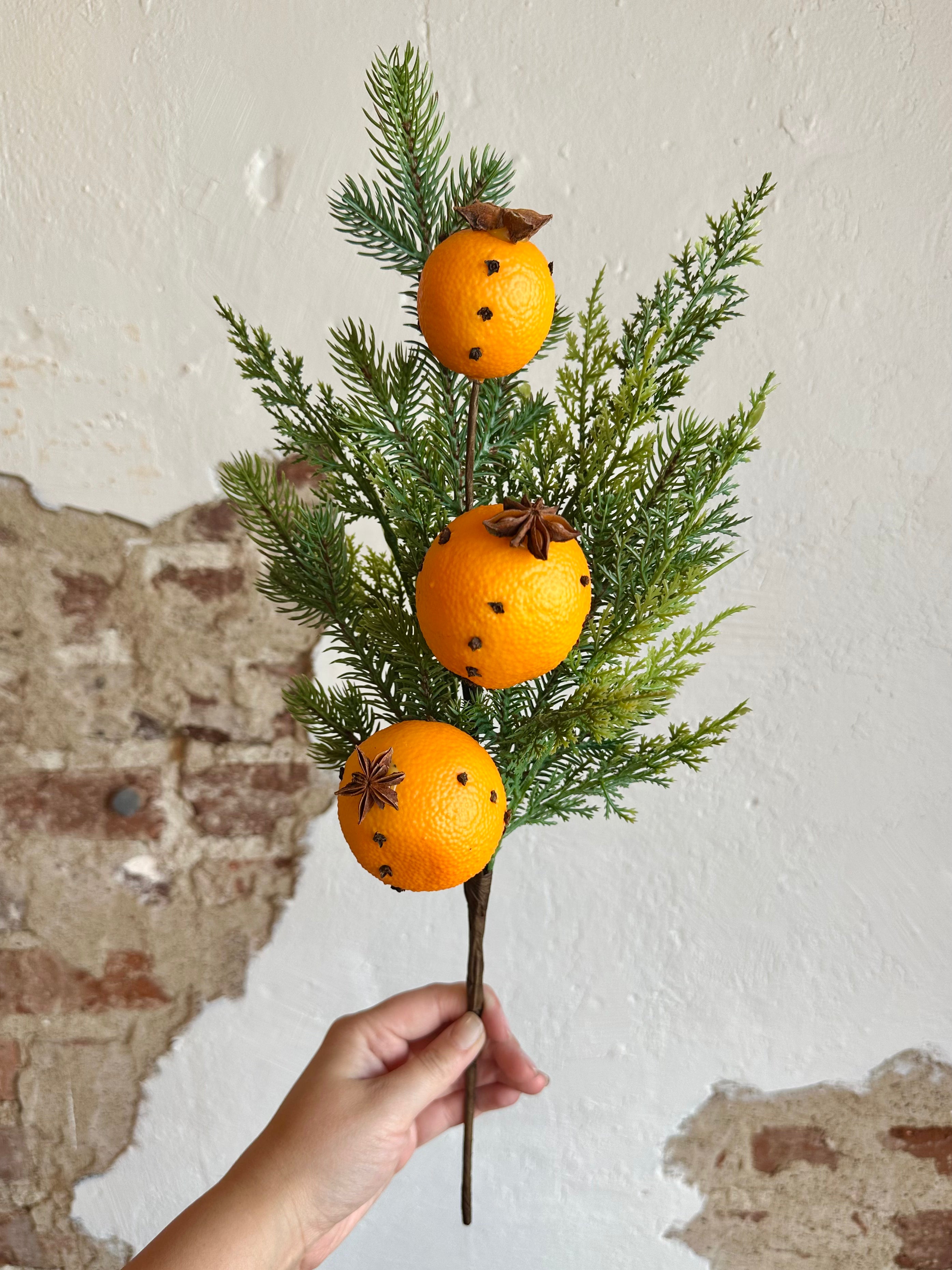 18” Evergreen w/Orange Clove Pick