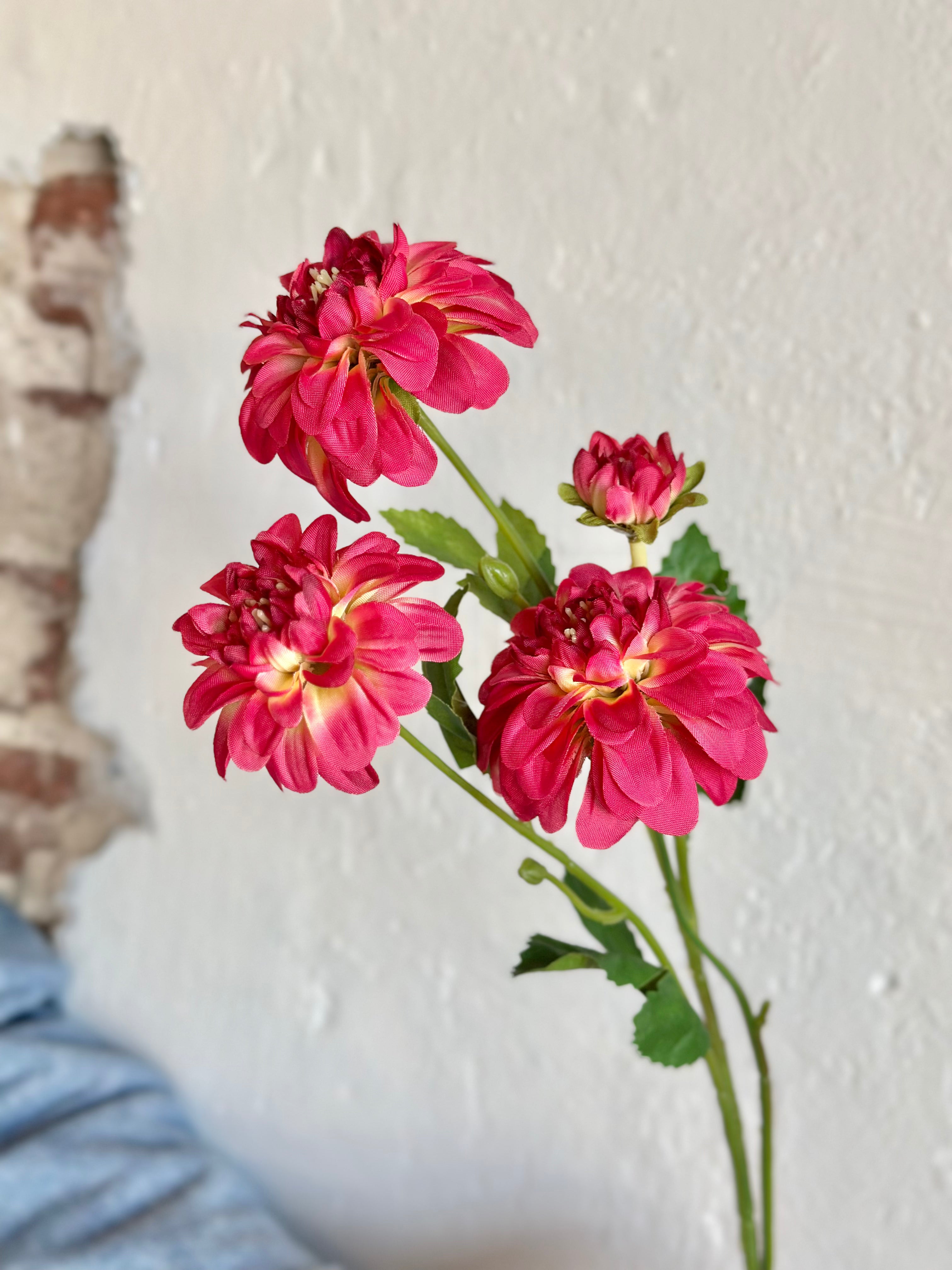 MINI DAHLIA 25" MAGENTA