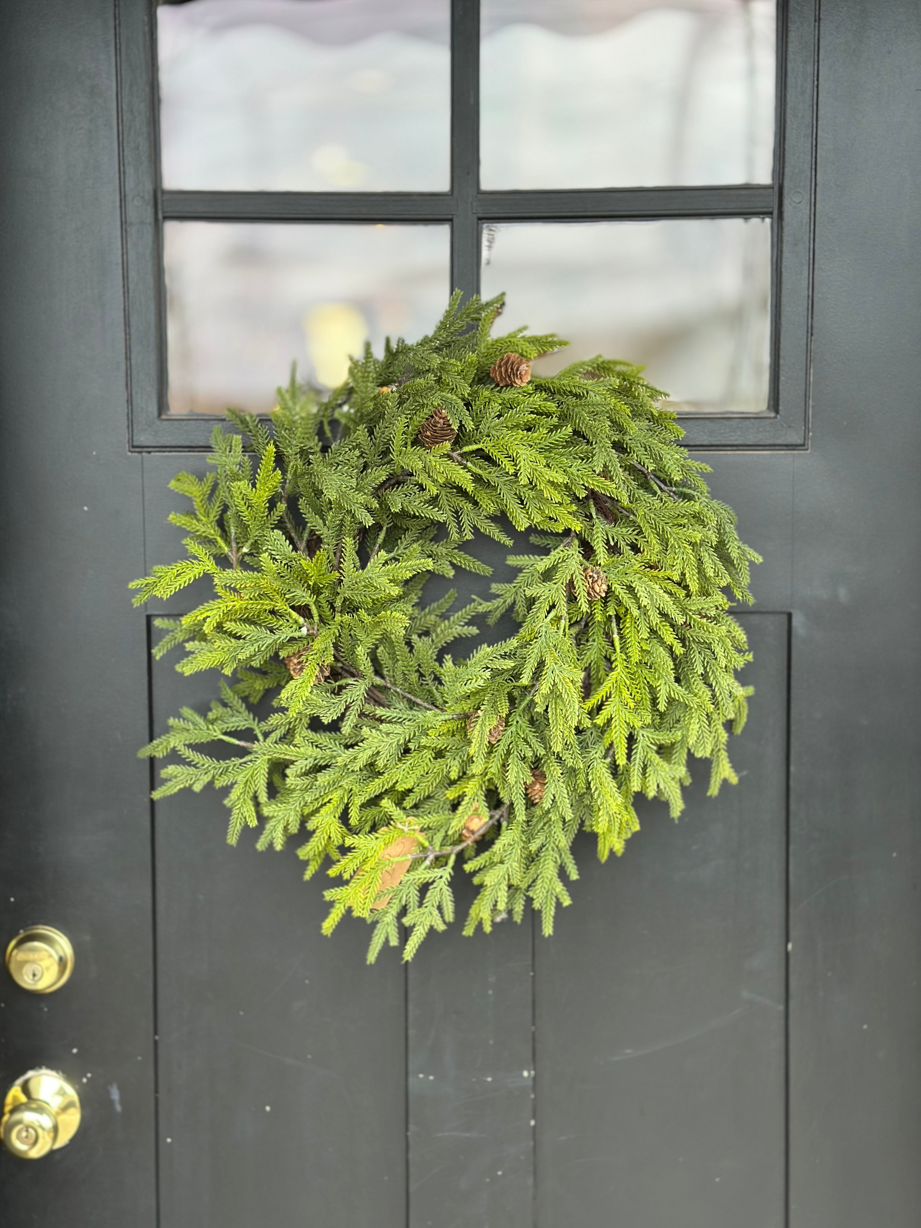 24" COLORADO SPRUCE WREATH