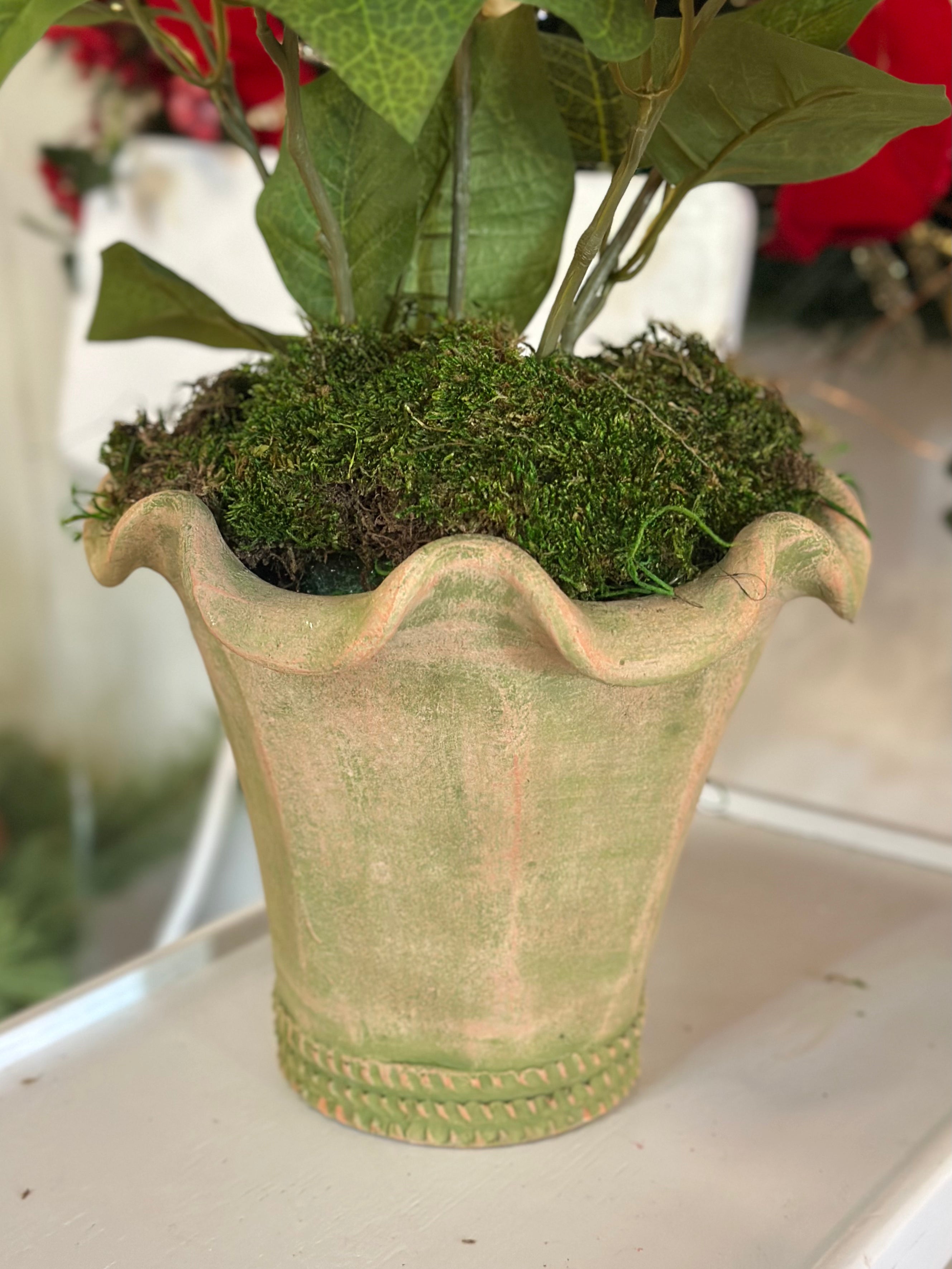 Botanical Collection Potted Poinsettias (Green Distressed Pot)