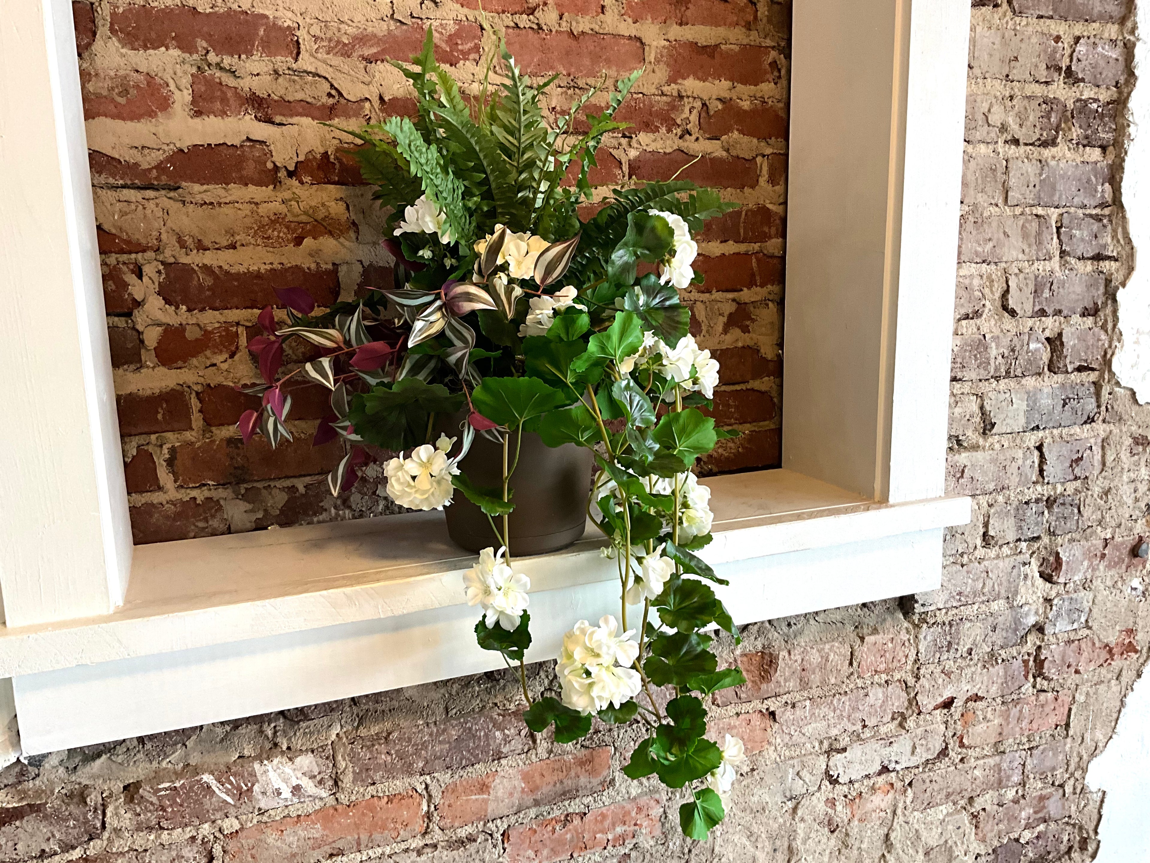 8" Hanging Geranium, Fern, & Tradescantia Pot Filler
