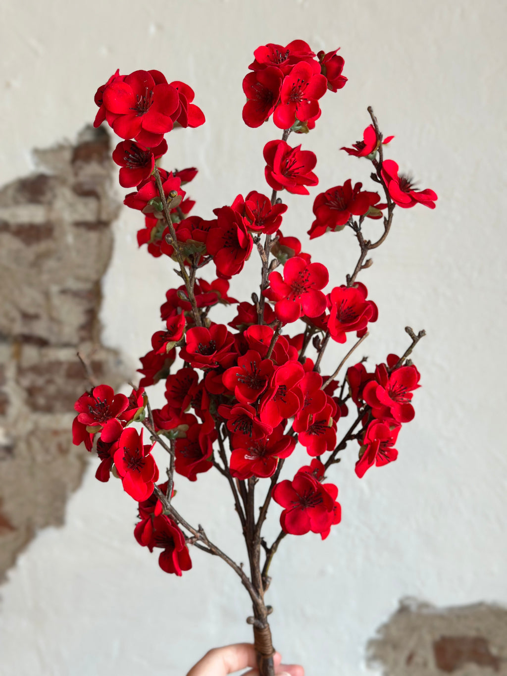 43" CHRISTMAS BLOSSOM RED