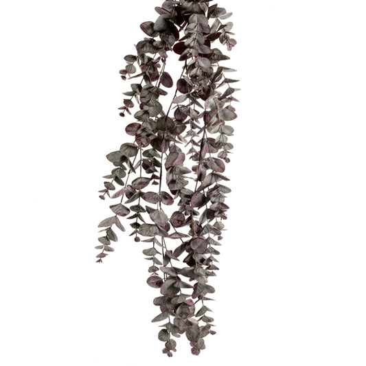 36" Burgundy Eucalyptus Drop