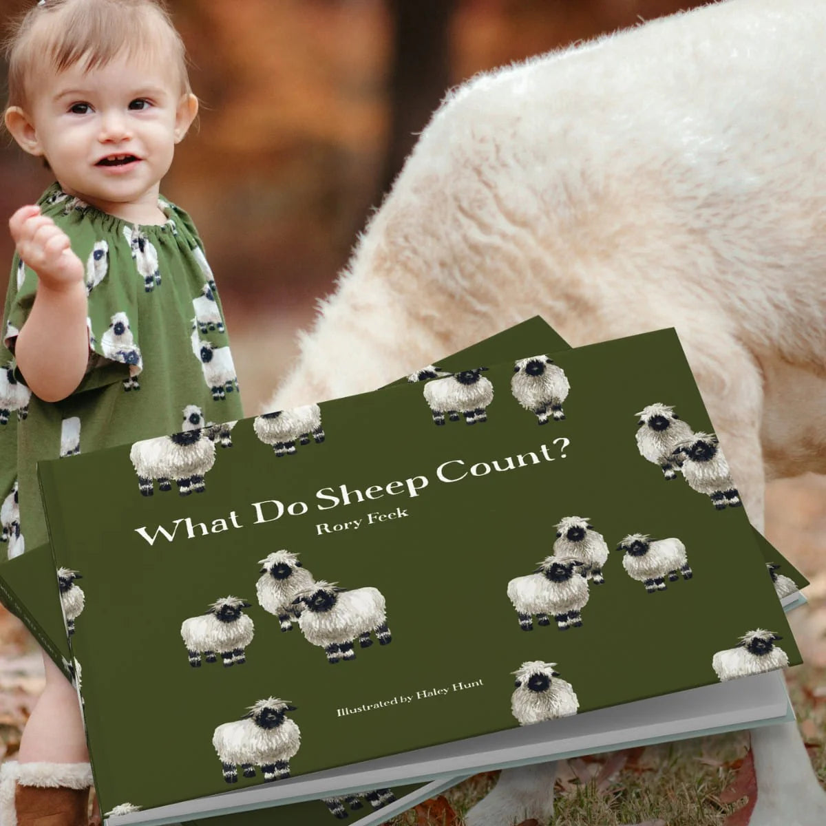 What Do Sheep Count?  Book by Rory Feek