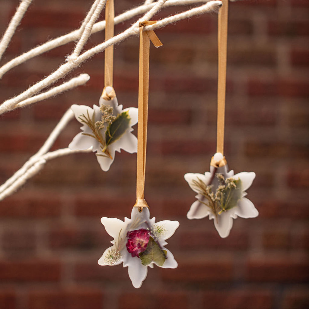 Rosy Rings Spicy Apple Snowflake Botanical Sachet