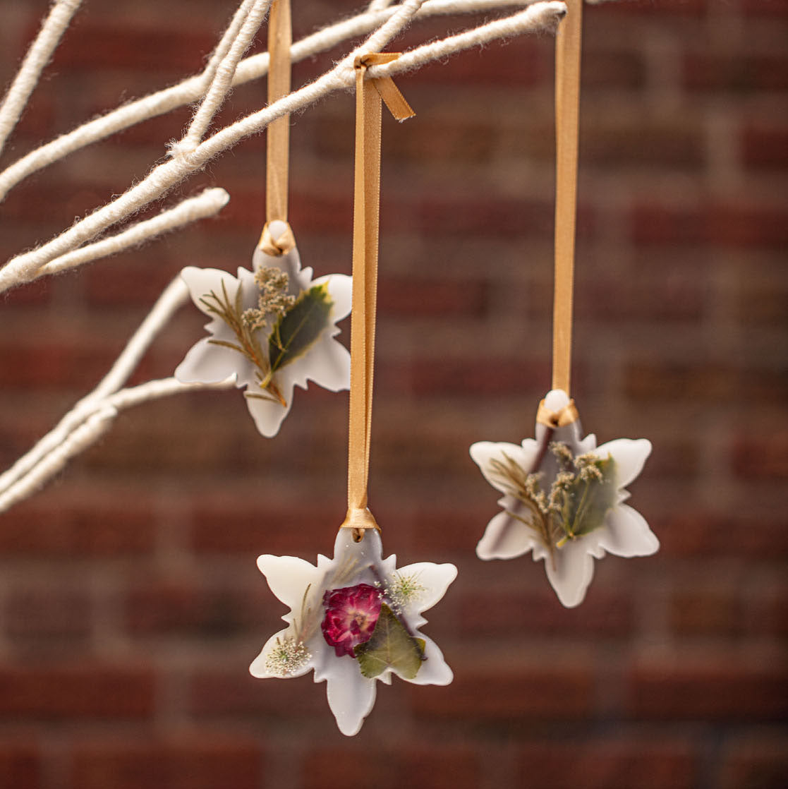 Rosy Rings Spicy Apple Snowflake Botanical Sachet