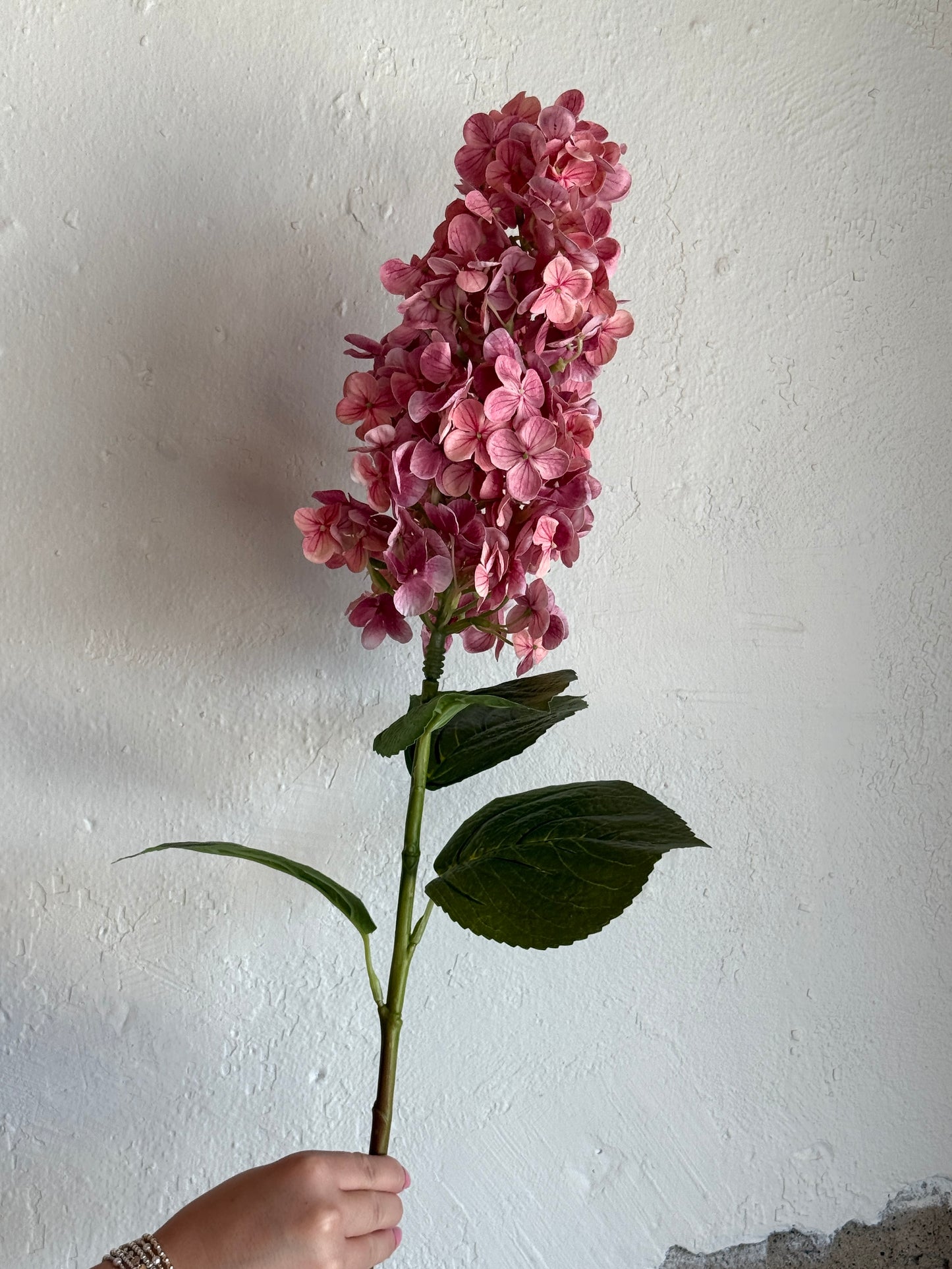 30.71” Peegee Hydrangea, Bloom