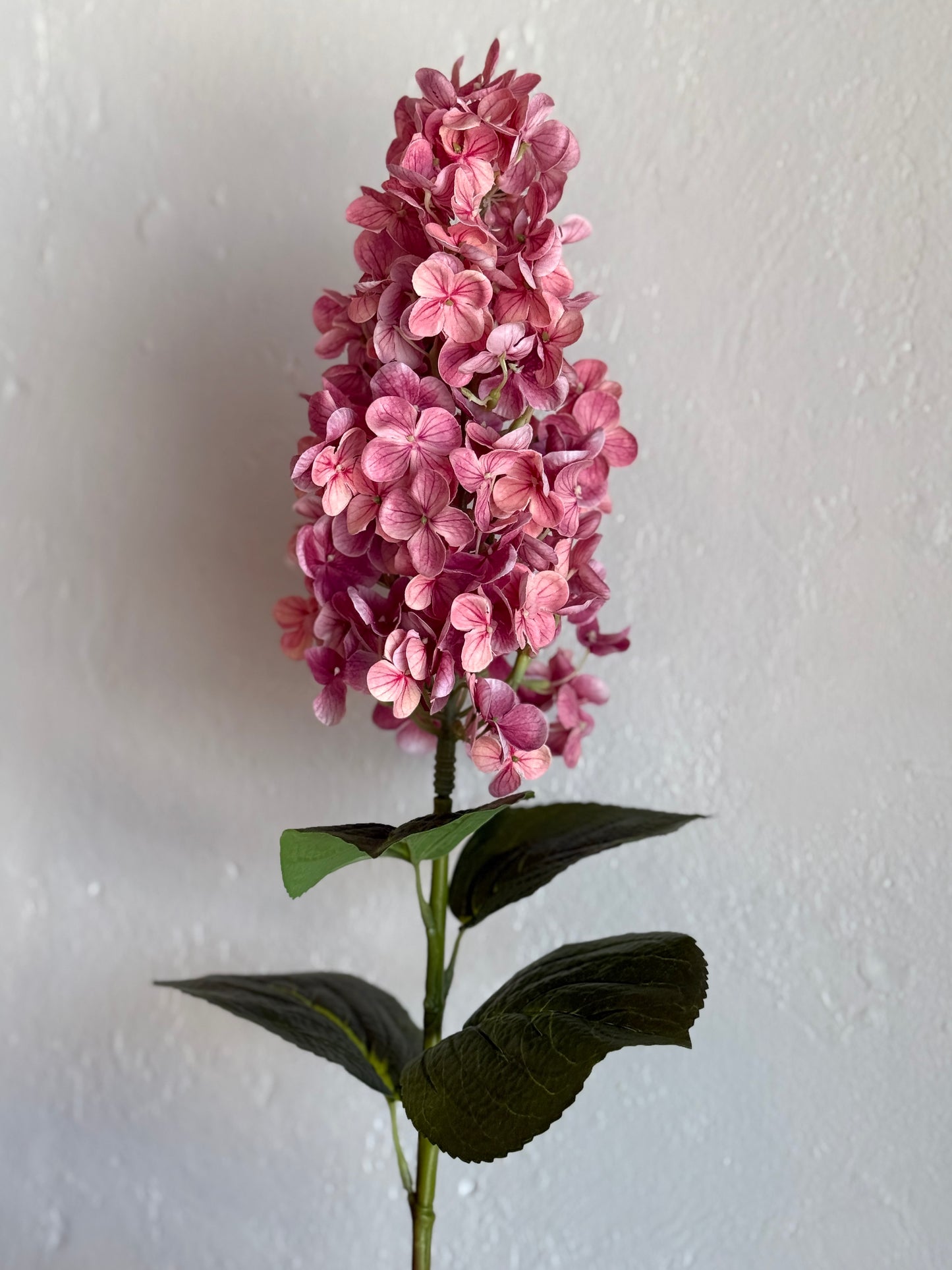 30.71” Peegee Hydrangea, Bloom