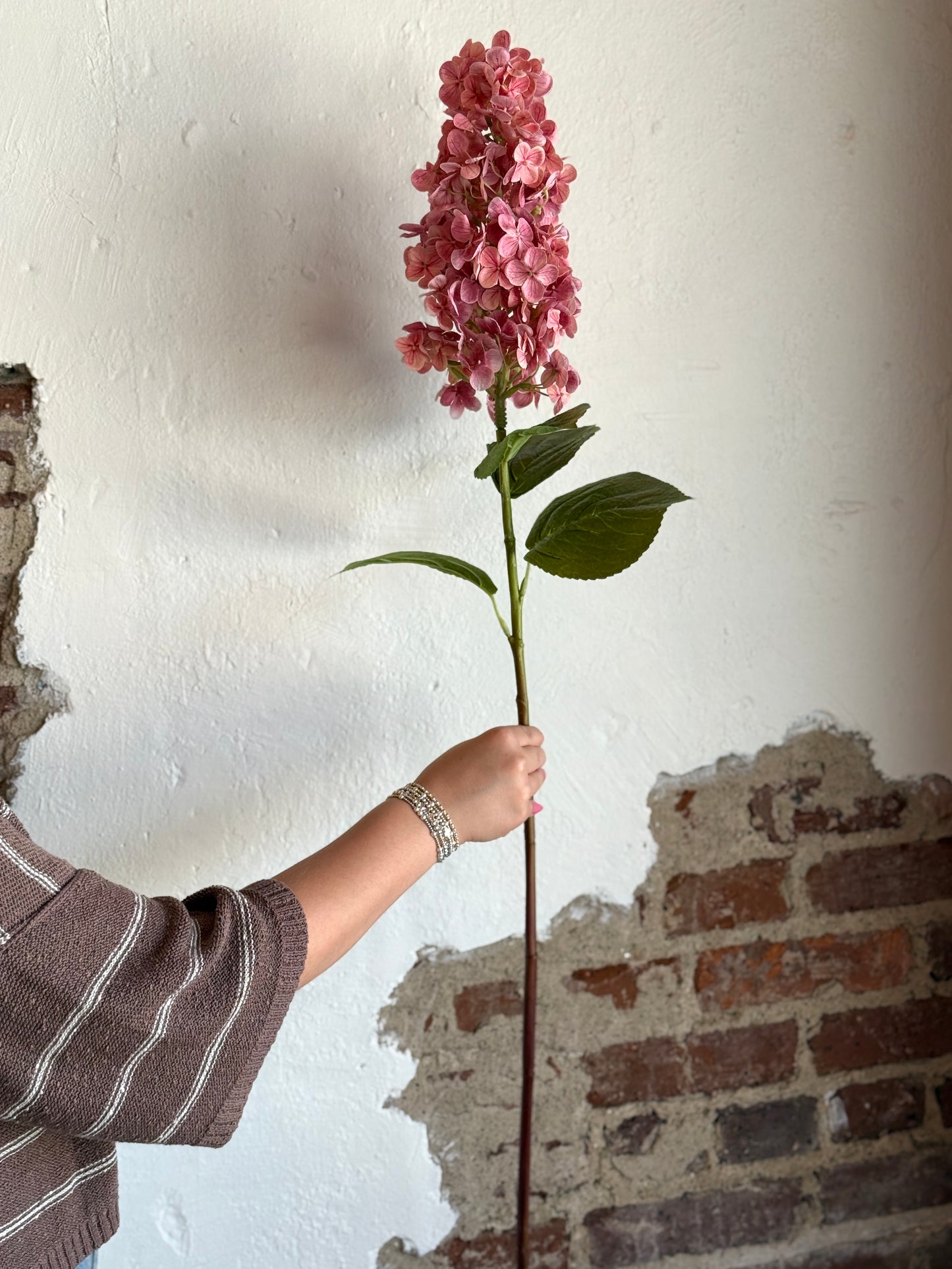 30.71” Peegee Hydrangea, Bloom