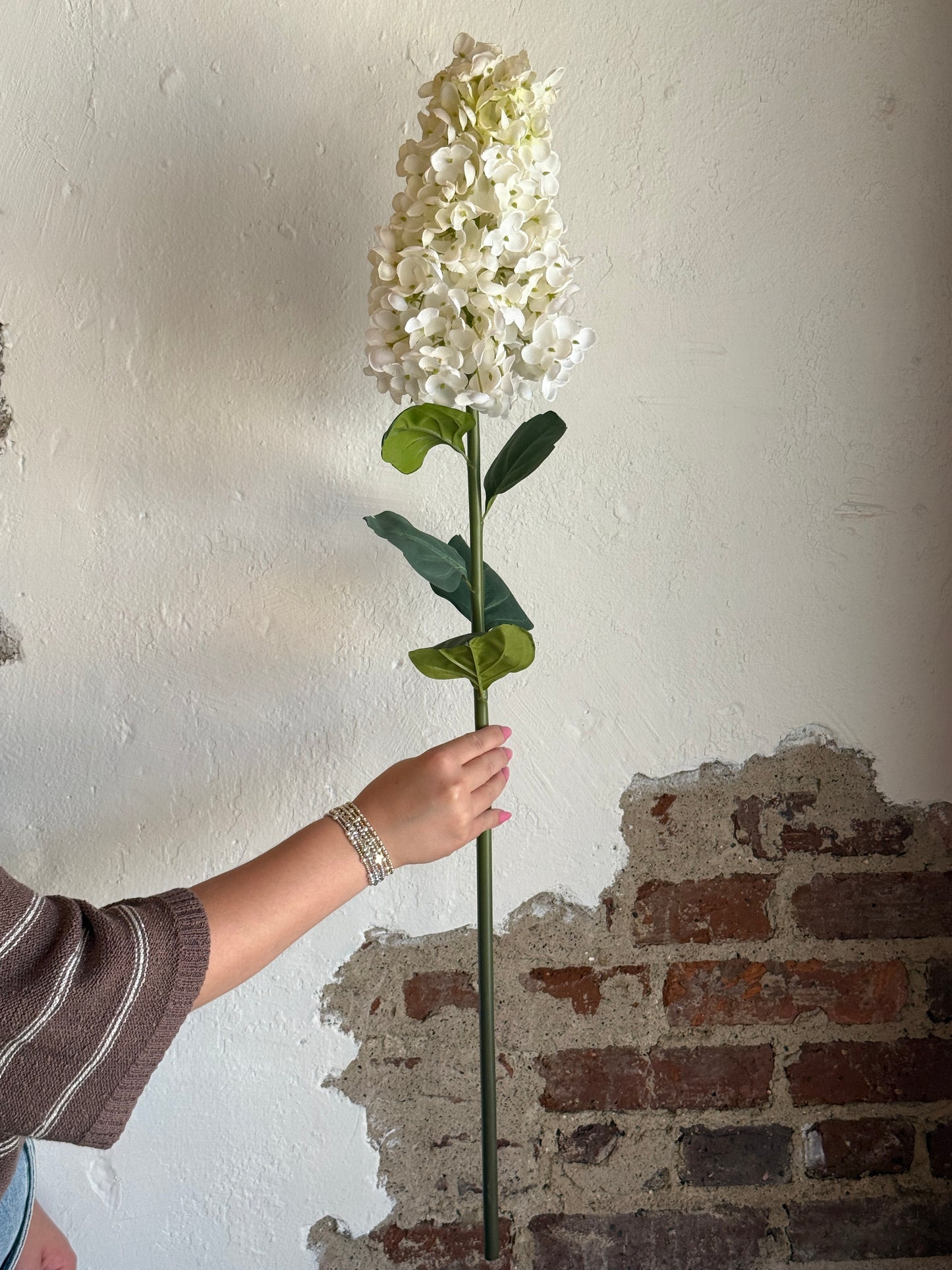 36” Peegee Hydrangea, Candlelight
