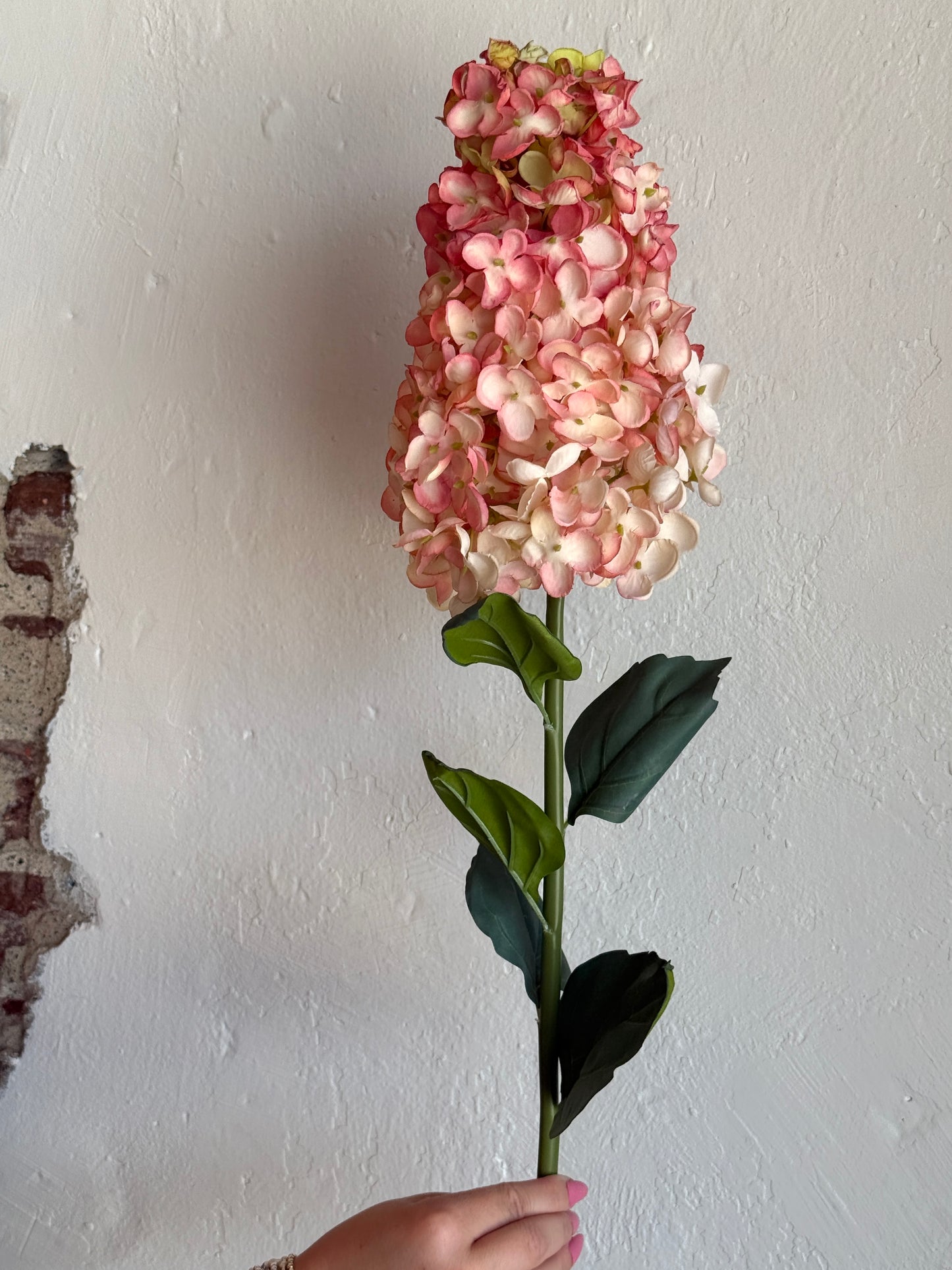 36” Peegee Hydrangea, Rose/Blush