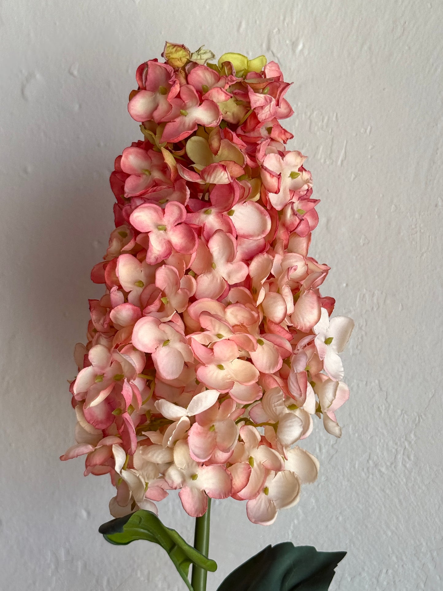36” Peegee Hydrangea, Rose/Blush