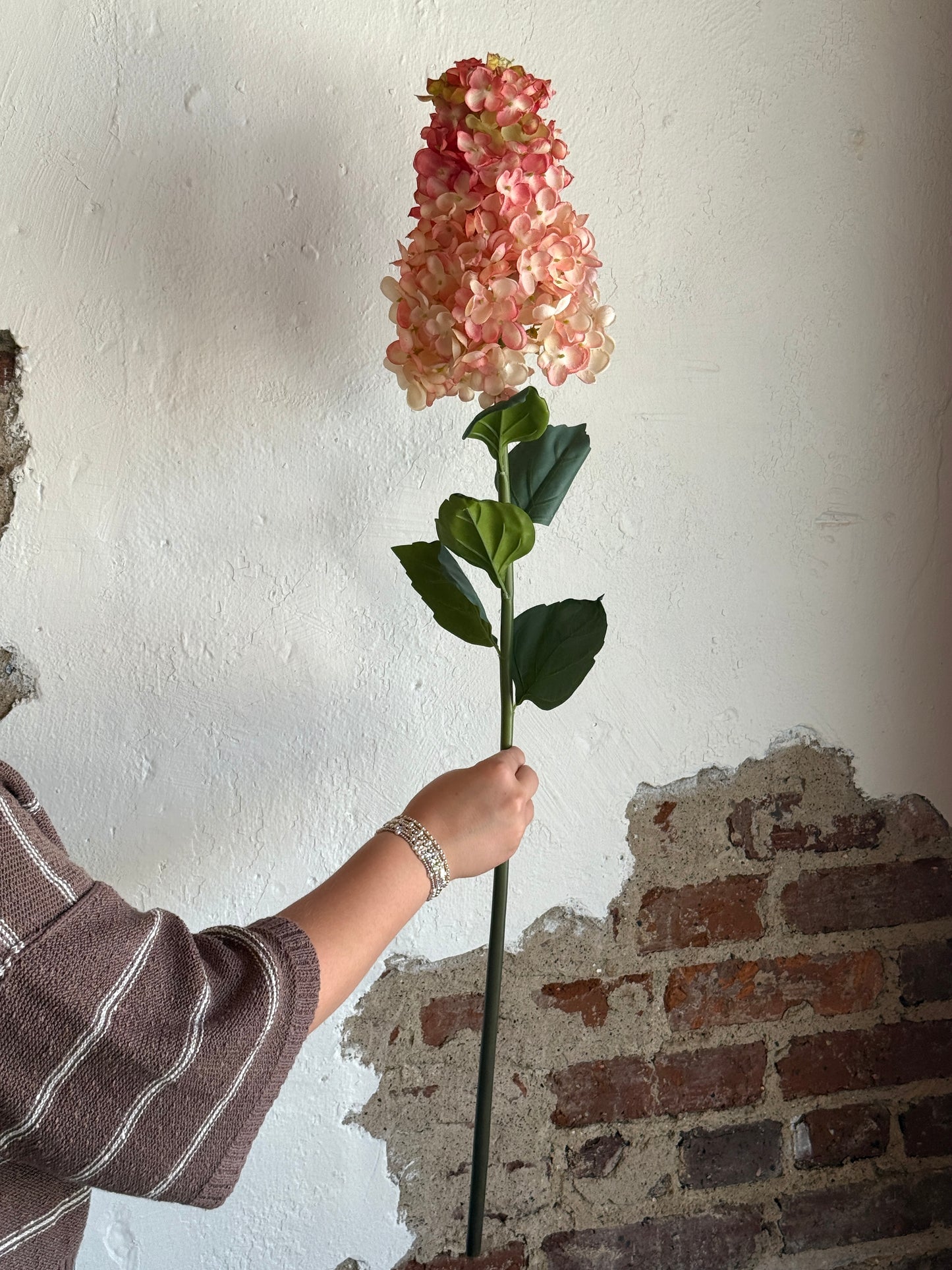 36” Peegee Hydrangea, Rose/Blush