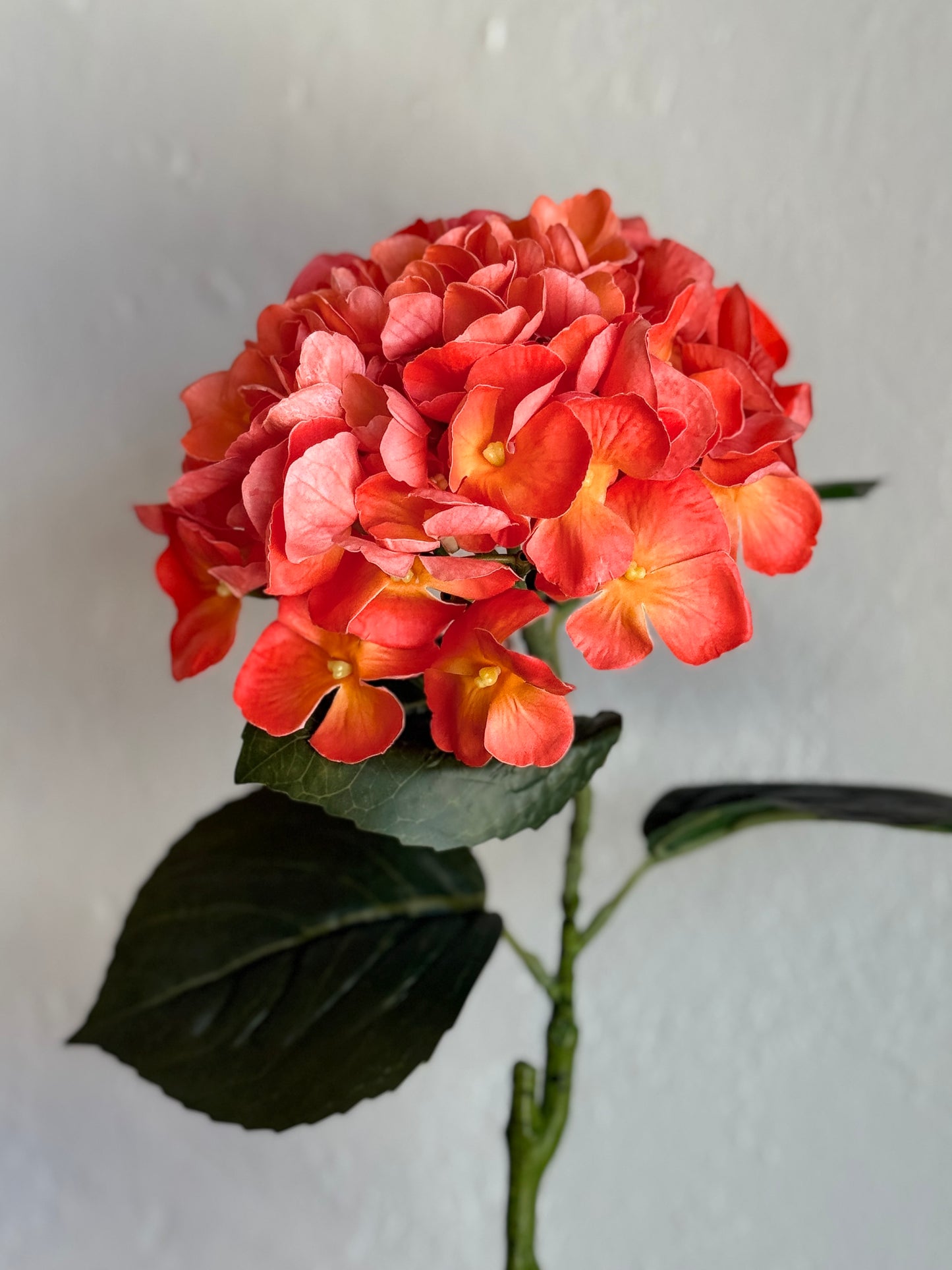 23.6” Natural Touch Garden Hydrangea, Coral