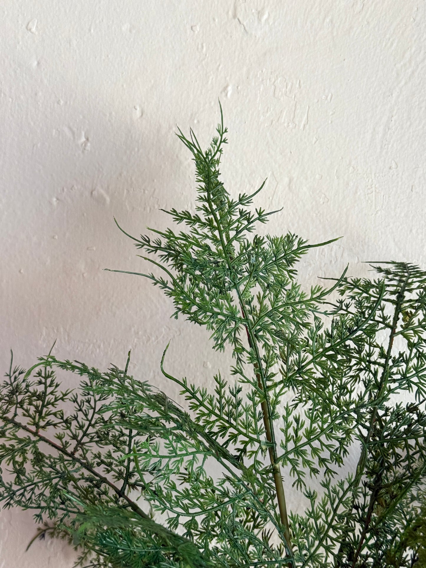 NATURAL TOUCH ASPARAGUS FERN BUSH 20"