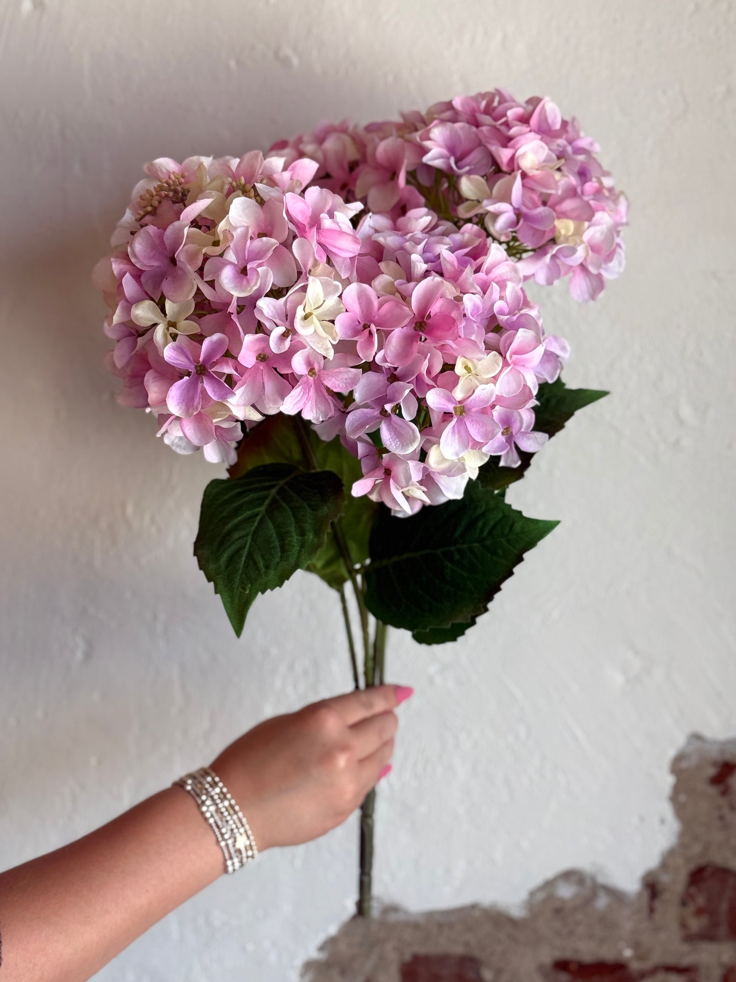 Hydrangea Bush x5, Pink