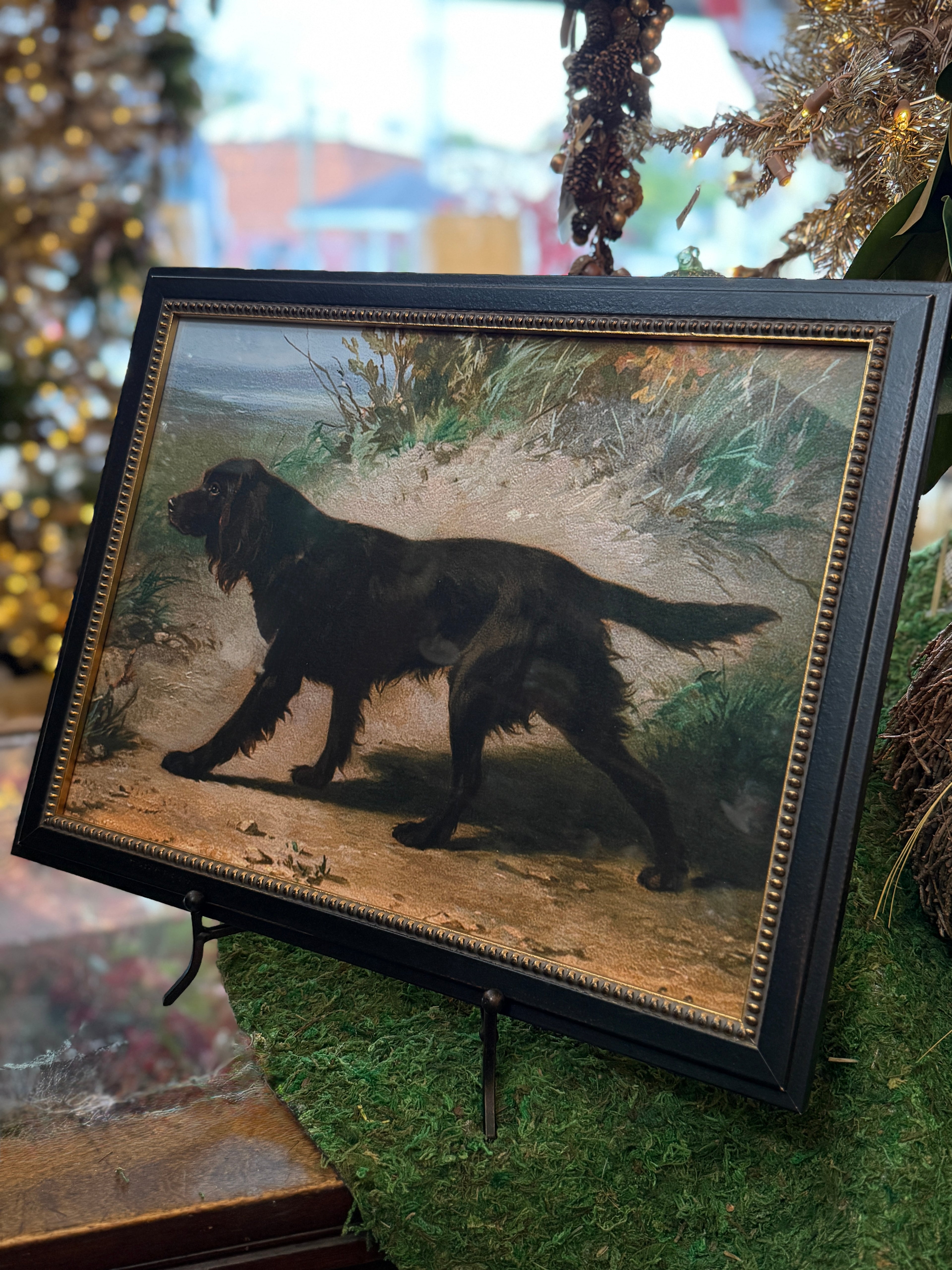 Framed Vintage Boykin Spaniel Oil Painting Reproduction