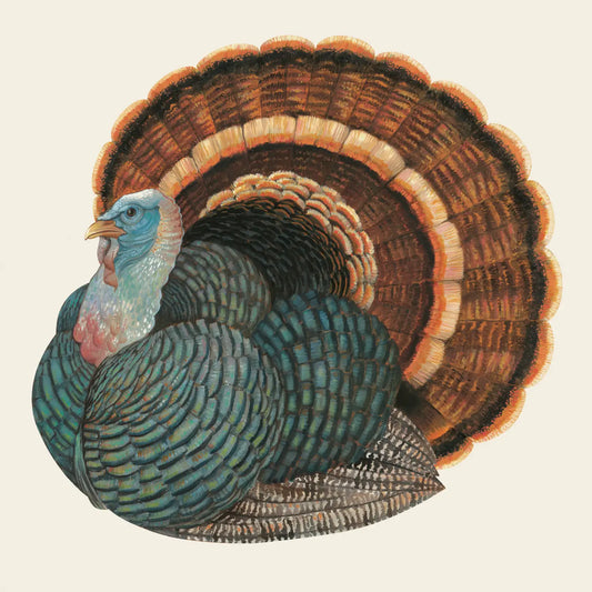 Hester & Cook Heritage Turkey Cocktail Napkin - Pack of 20
