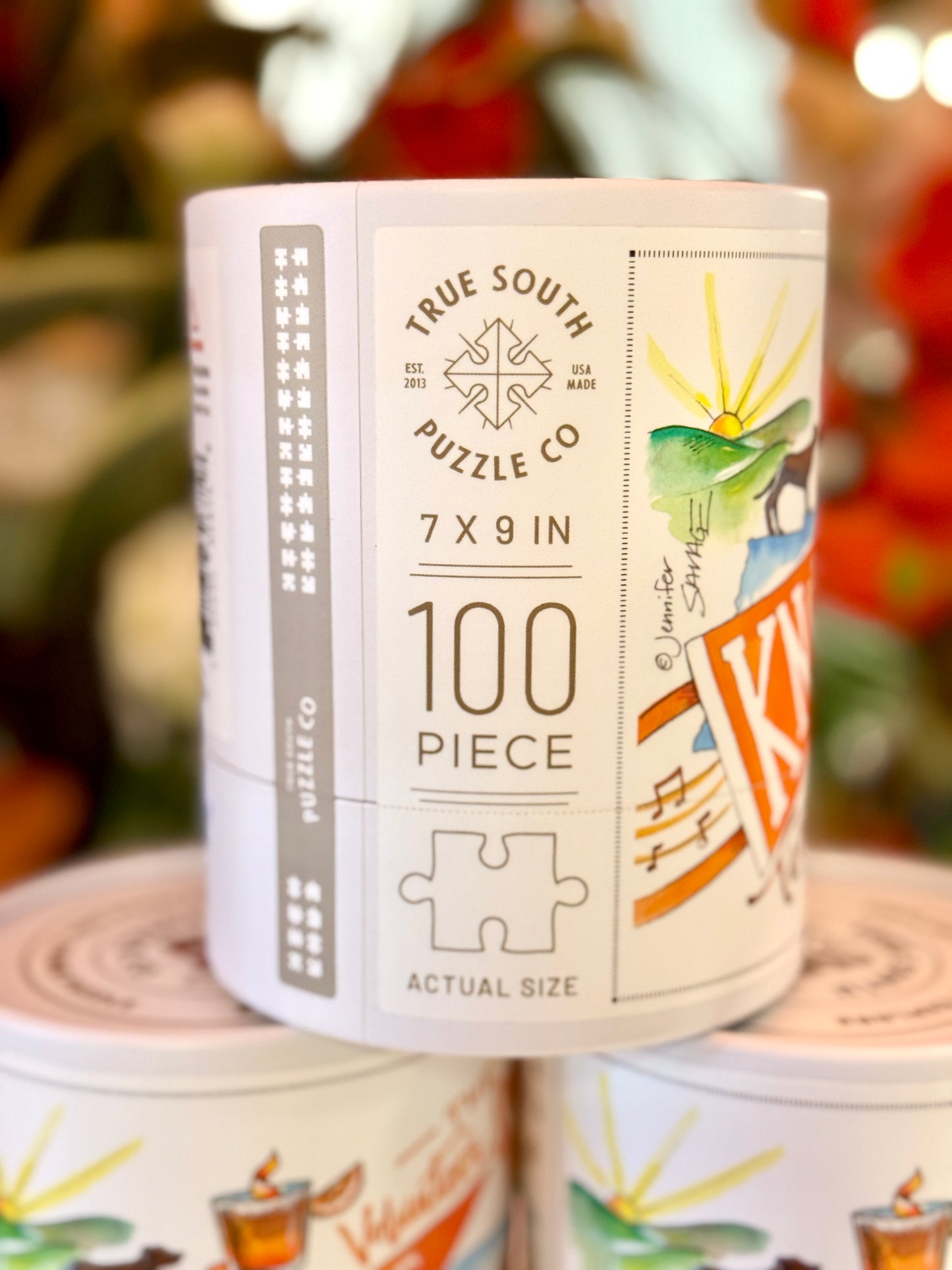 College Town Knoxville 100 Piece Puzzle