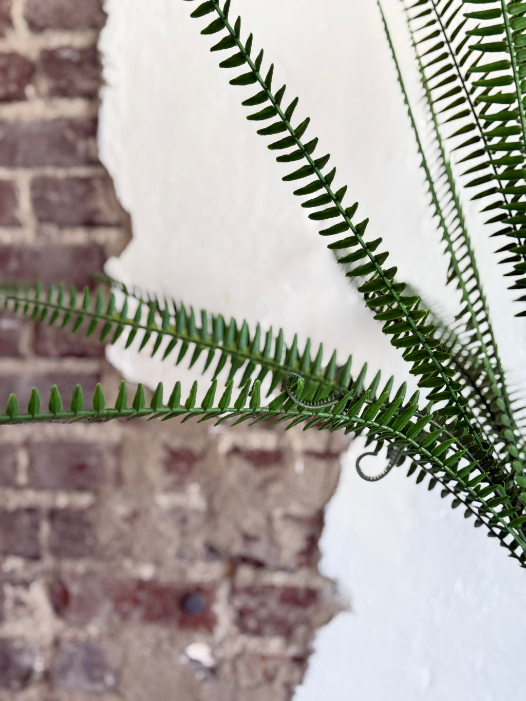 34” UV PROOF SHARON FERN BUSH