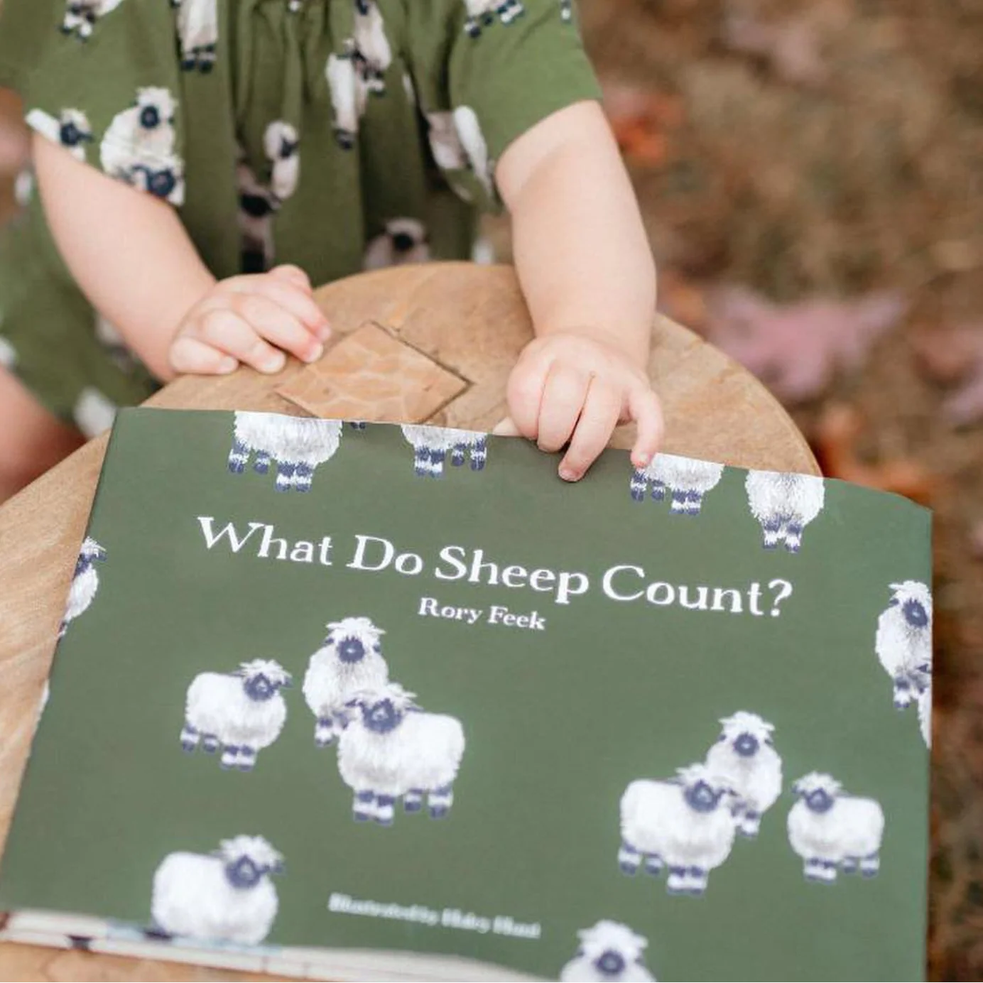 What Do Sheep Count?  Book by Rory Feek