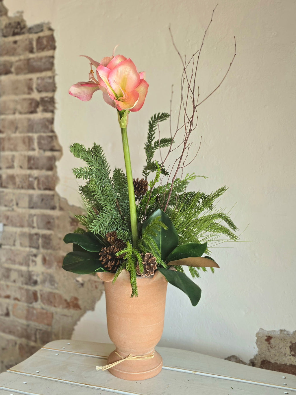Potted Amaryllis with Evergreen Mix