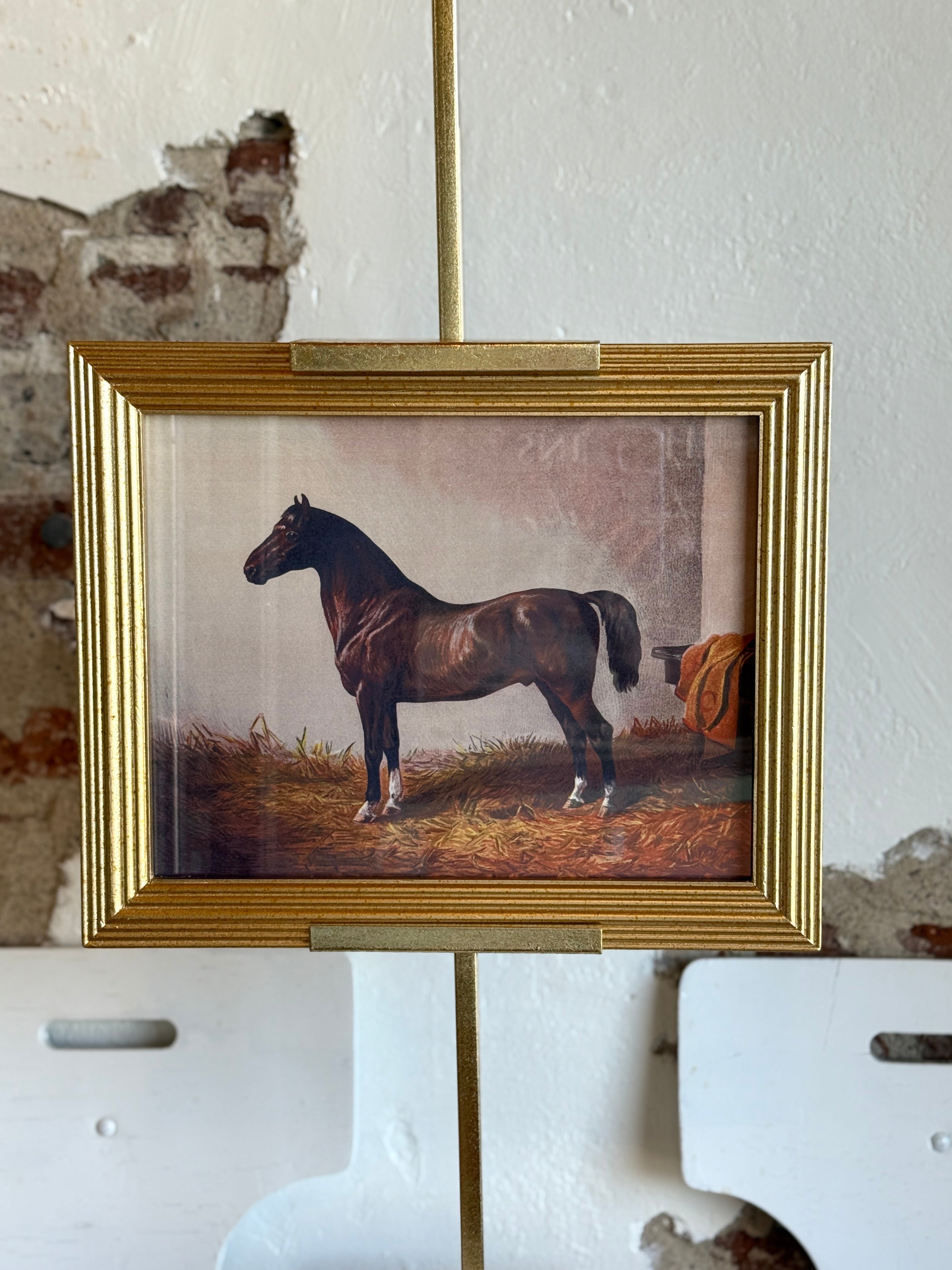 Classic Sporting Horse Framed Portrait